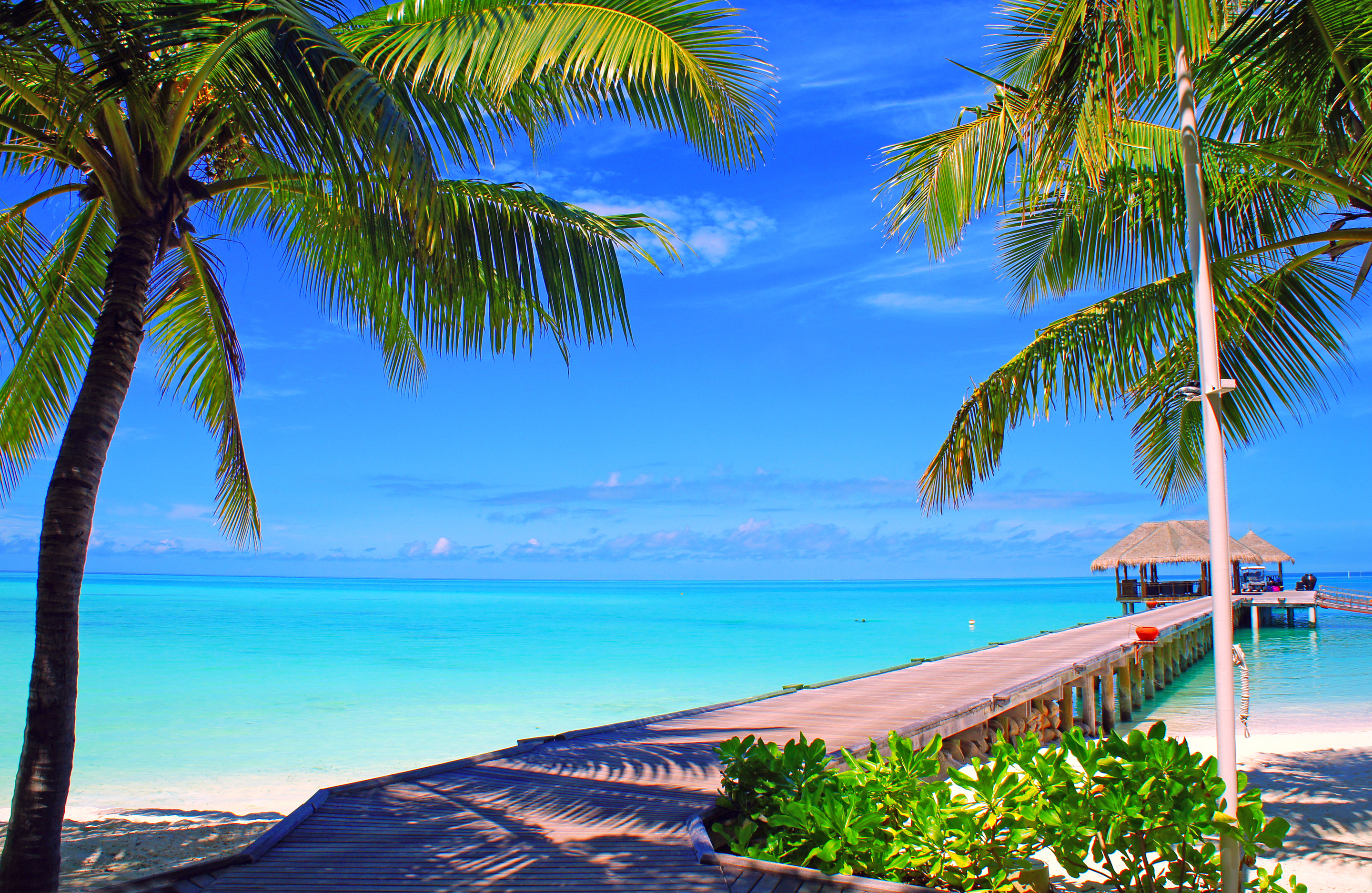 bungalow, nature, sky, sea, clouds, palms, ocean, island, maldives