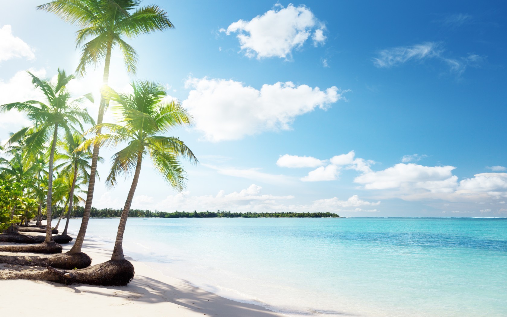 Free download wallpaper Landscape, Sea, Beach, Palms on your PC desktop
