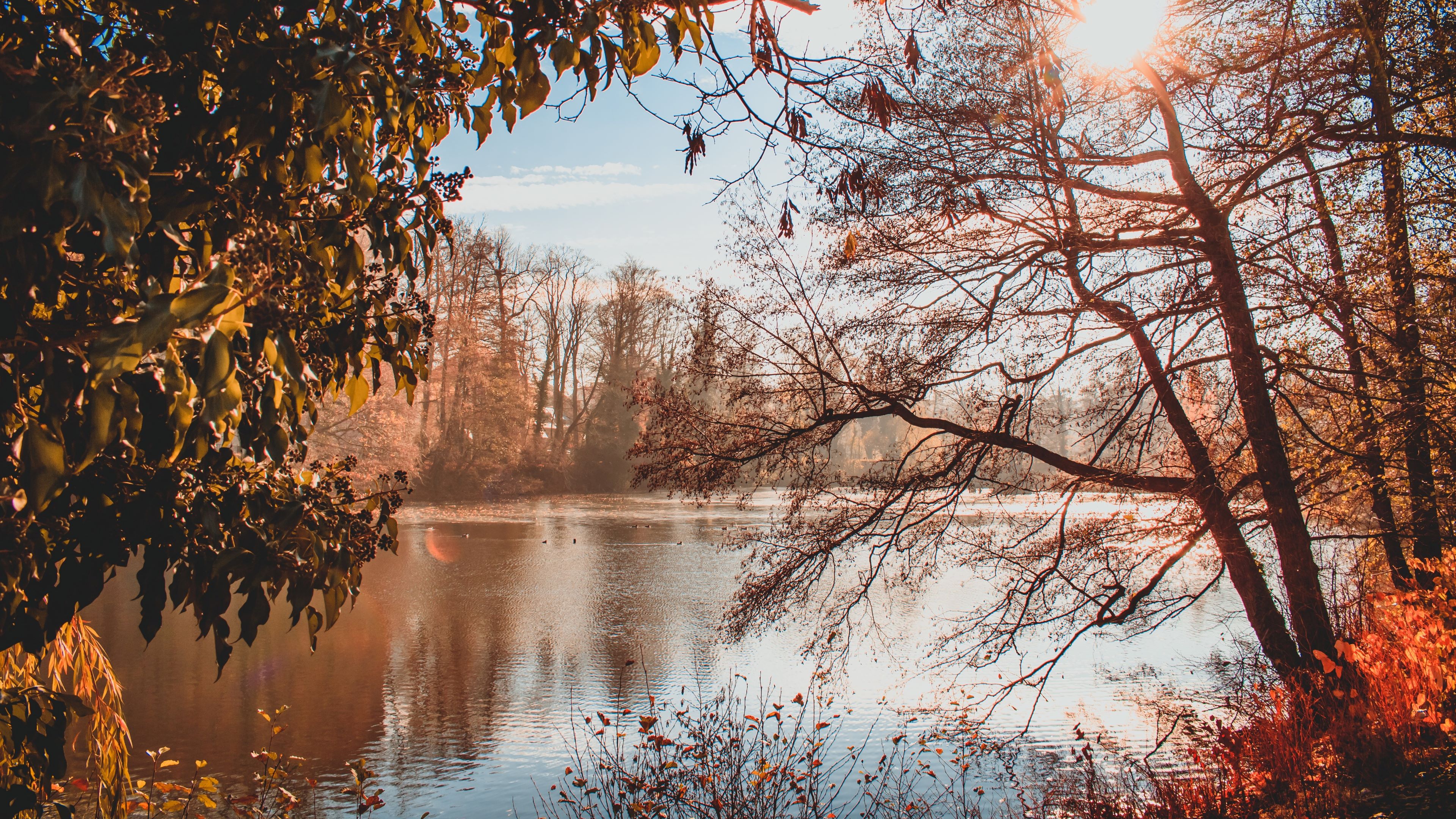 Laden Sie das Herbst, Teich, Erde/natur-Bild kostenlos auf Ihren PC-Desktop herunter