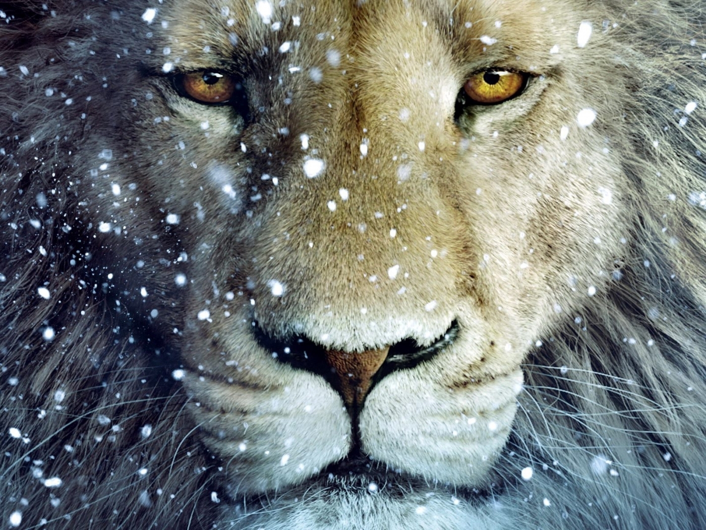New Lock Screen Wallpapers lions, animals