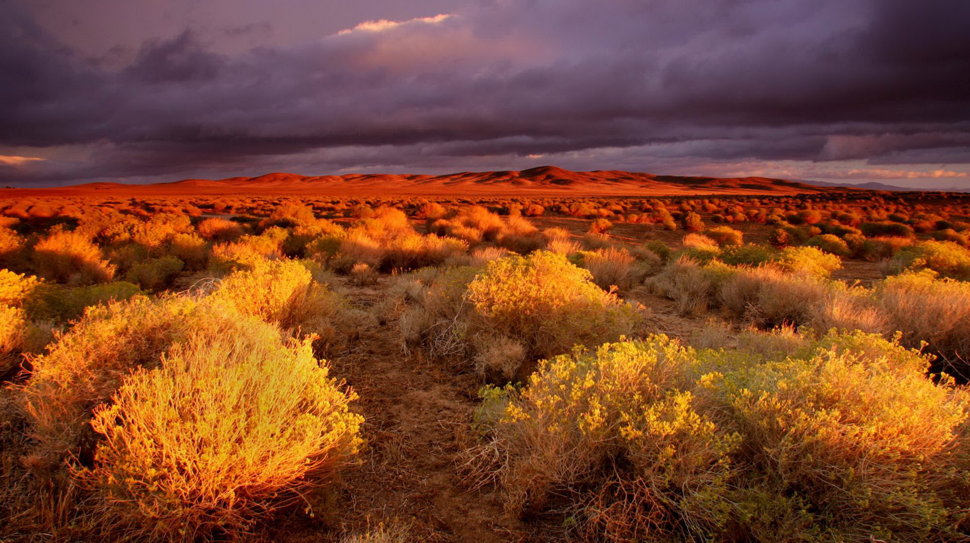 Descarga gratis la imagen Paisaje, Tierra/naturaleza en el escritorio de tu PC