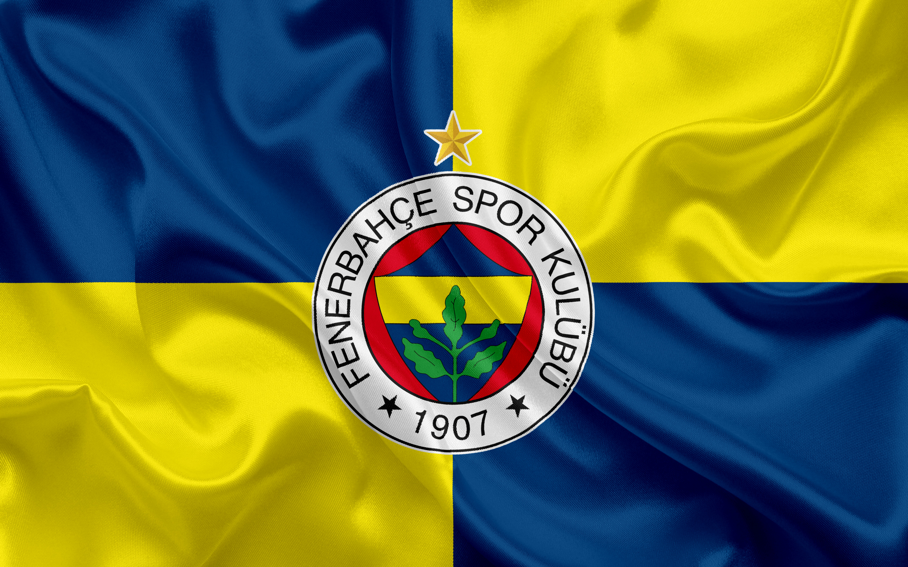 sports, fenerbahçe s k, emblem, logo, soccer 1080p