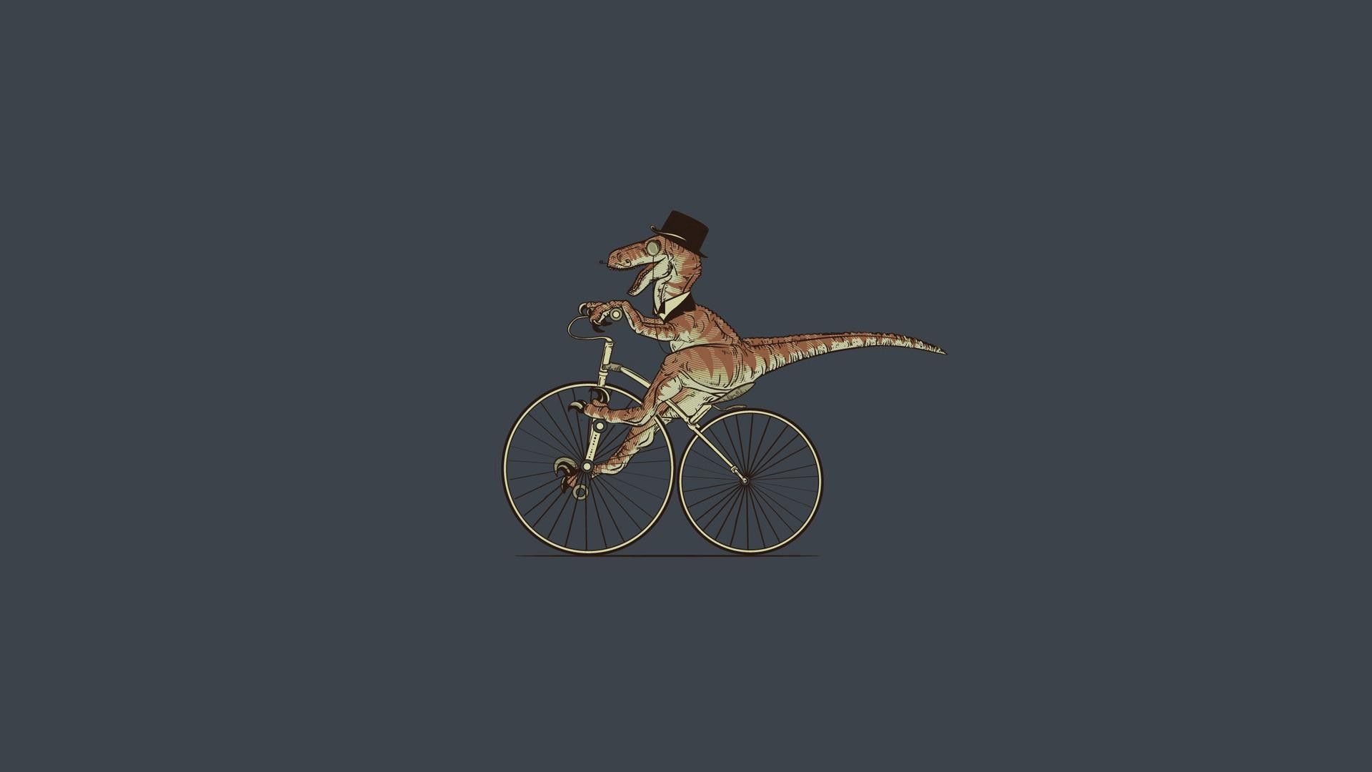 vector, bicycle, crocodile, trip