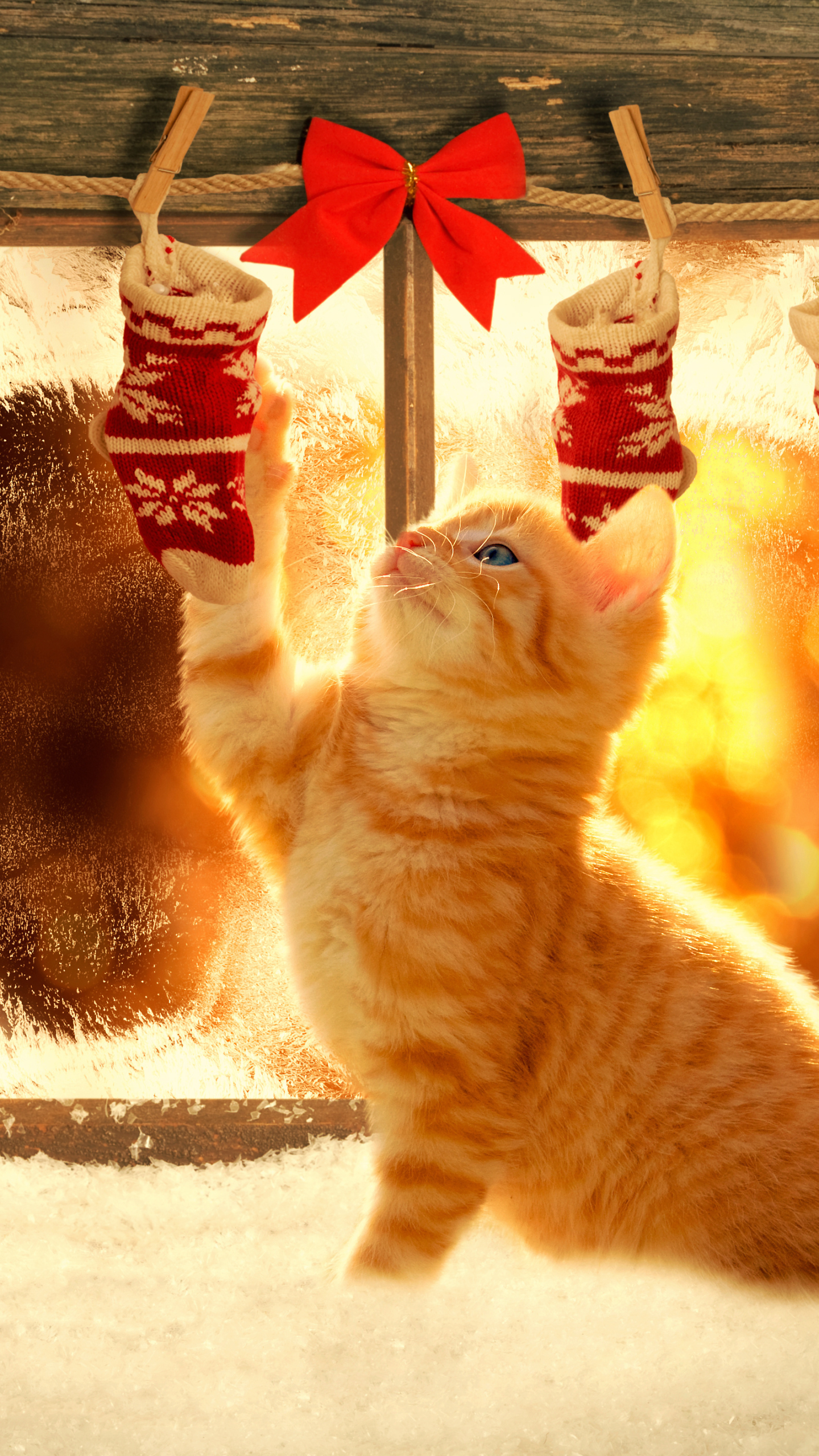 Download mobile wallpaper Cat, Christmas, Holiday, Decoration, Christmas Ornaments for free.
