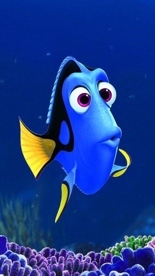 Download mobile wallpaper Movie, Pixar, Disney, Dory (Finding Nemo), Marlin (Finding Nemo), Nemo (Finding Nemo), Finding Dory for free.