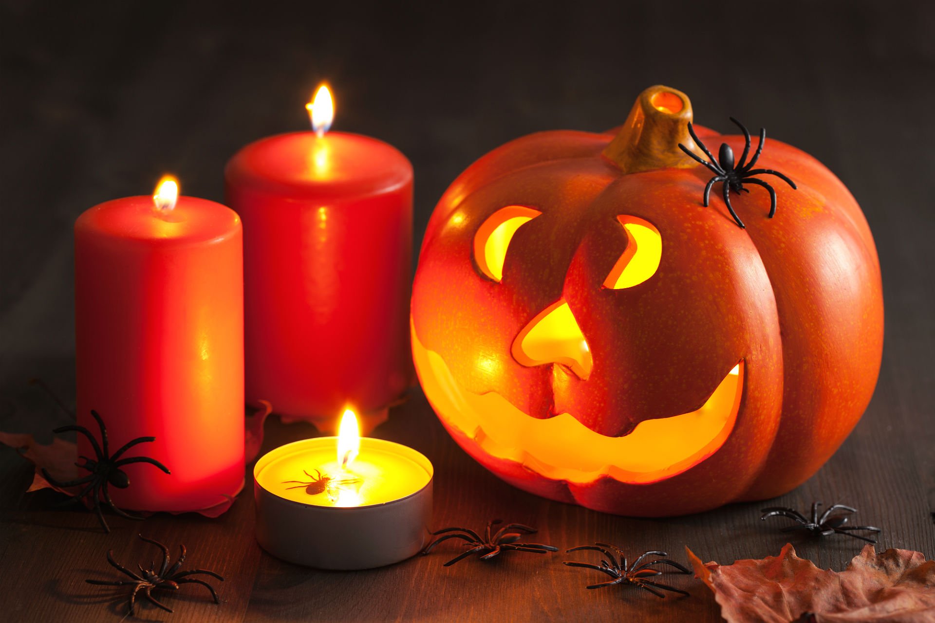Handy-Wallpaper Feiertage, Halloween, Kerze, Spinne, Jack O' Laterne kostenlos herunterladen.