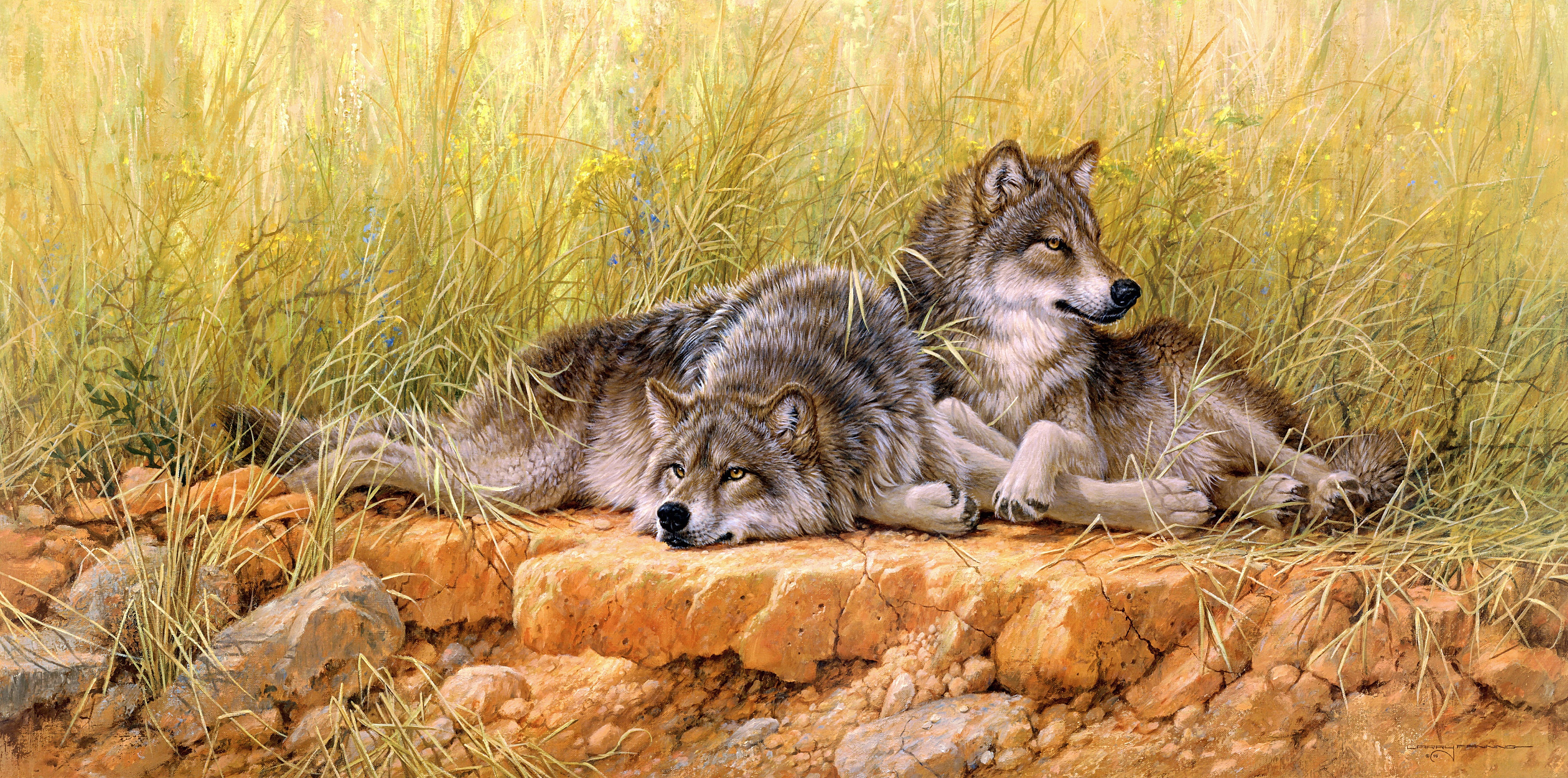 Free download wallpaper Wolf, Animal, Painting, Wolves on your PC desktop