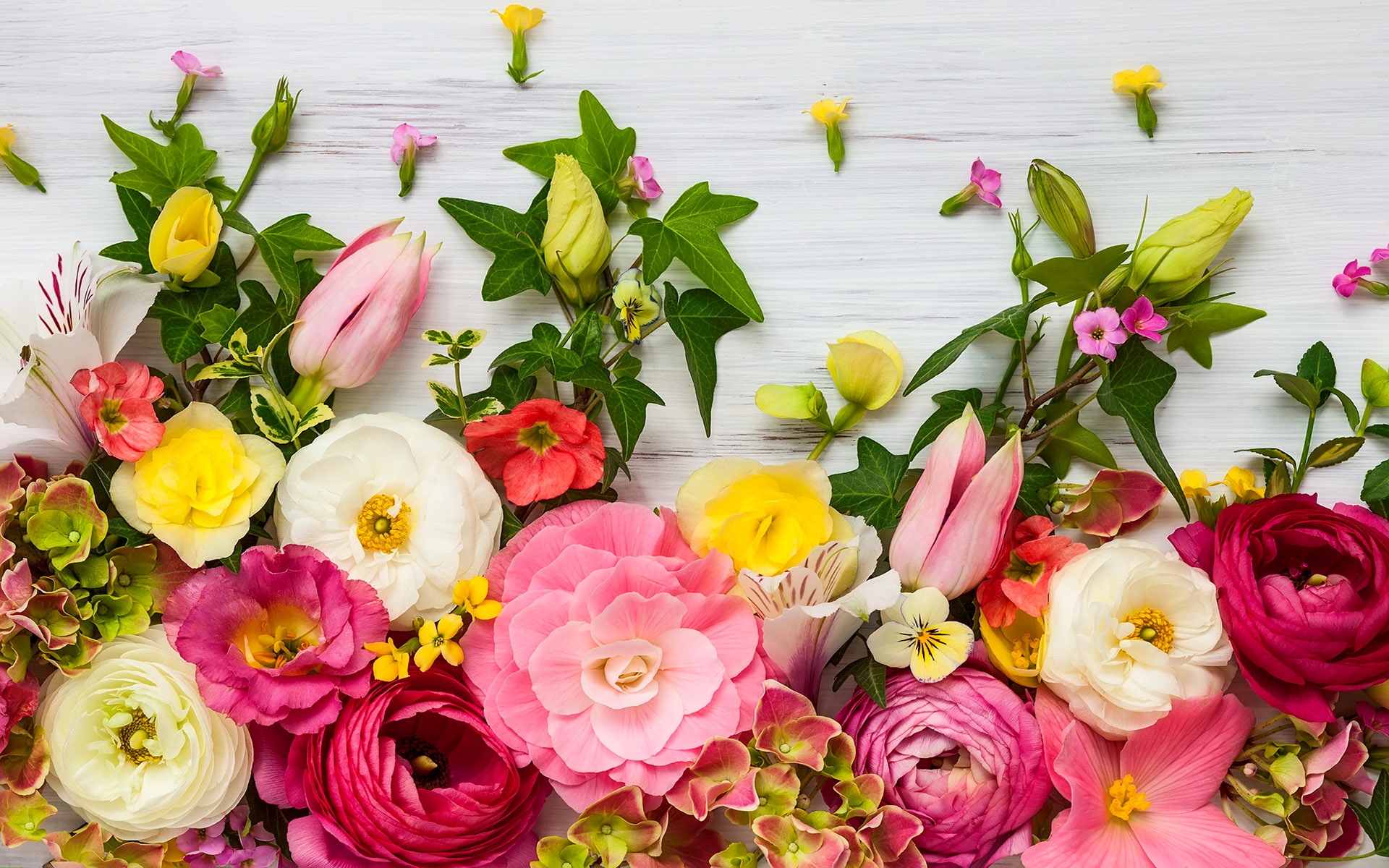 無料モバイル壁紙花, カラフル, 春, 黄色い花, 白い花, マンメイド, ピンクの花をダウンロードします。