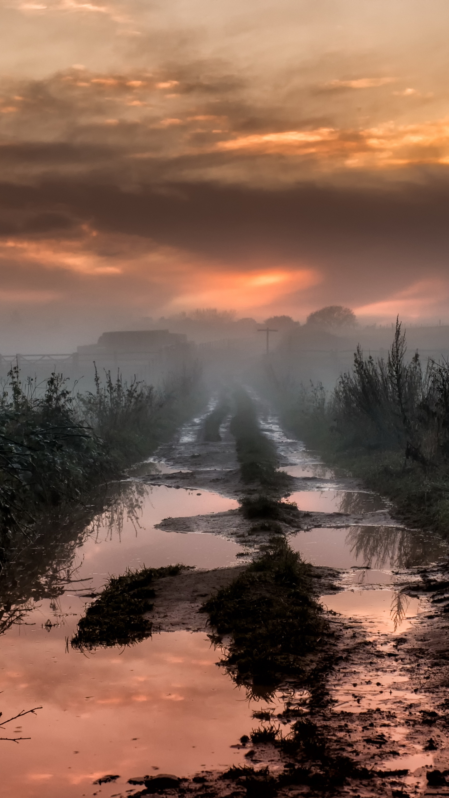 Download mobile wallpaper Dawn, Fog, Earth, Path, Dirt Road for free.
