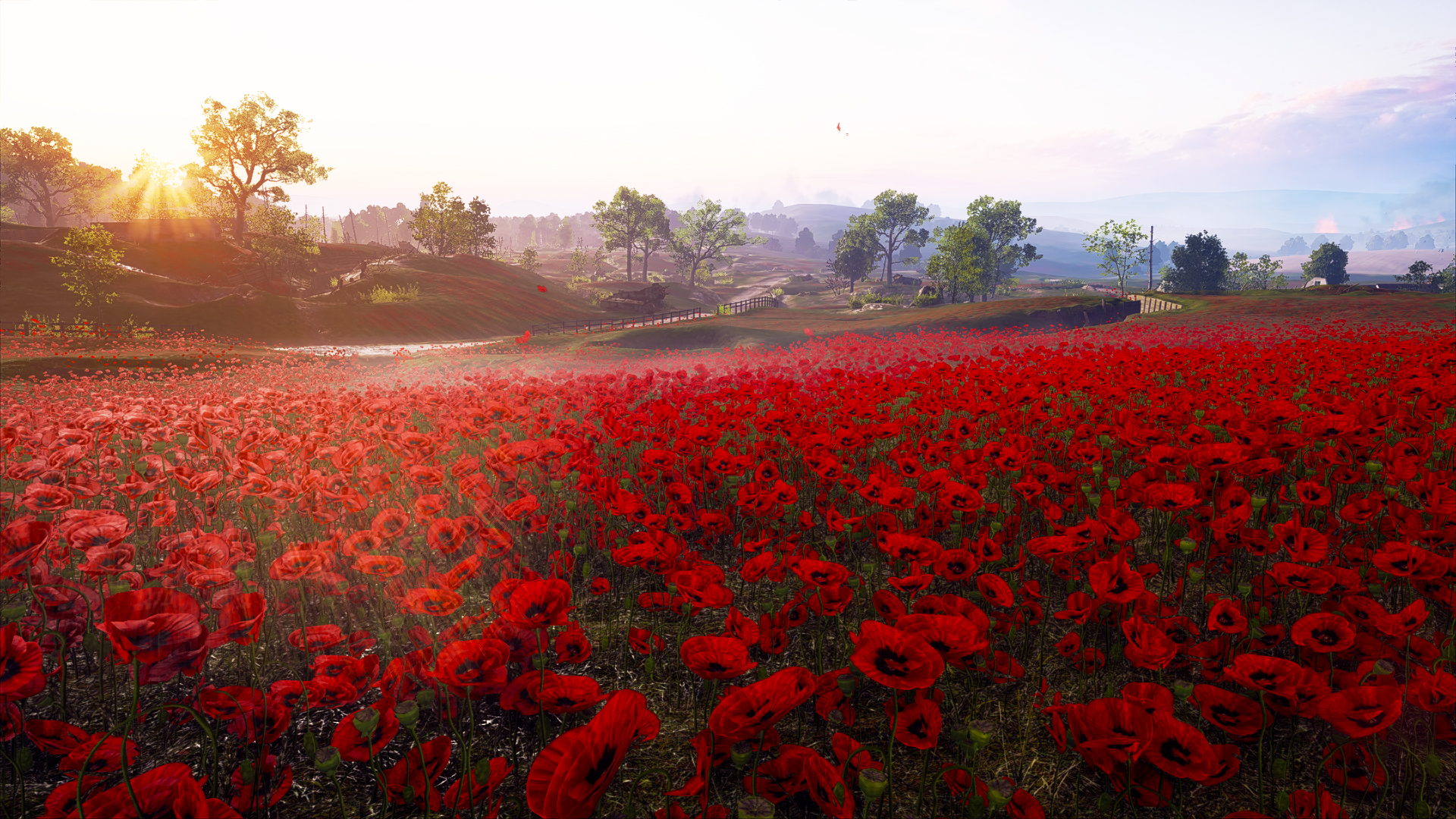 Handy-Wallpaper Landschaft, Mohn, Schlachtfeld, Blume, Rote Blume, Computerspiele, Battlefield 1 kostenlos herunterladen.