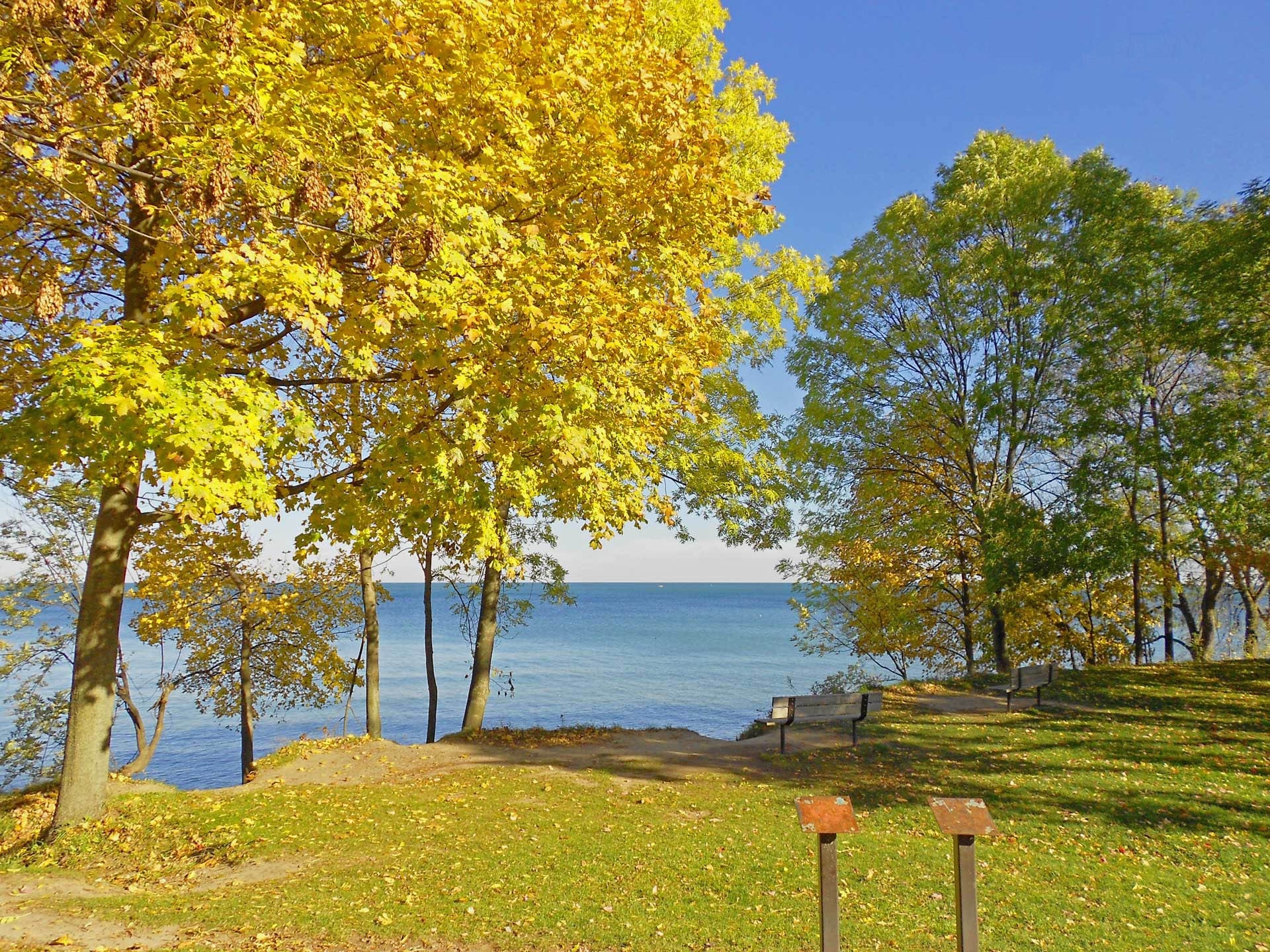 131659 télécharger l'image polyana, automne, paysage, nature, clairière, bancs, côte canadienne - fonds d'écran et économiseurs d'écran gratuits