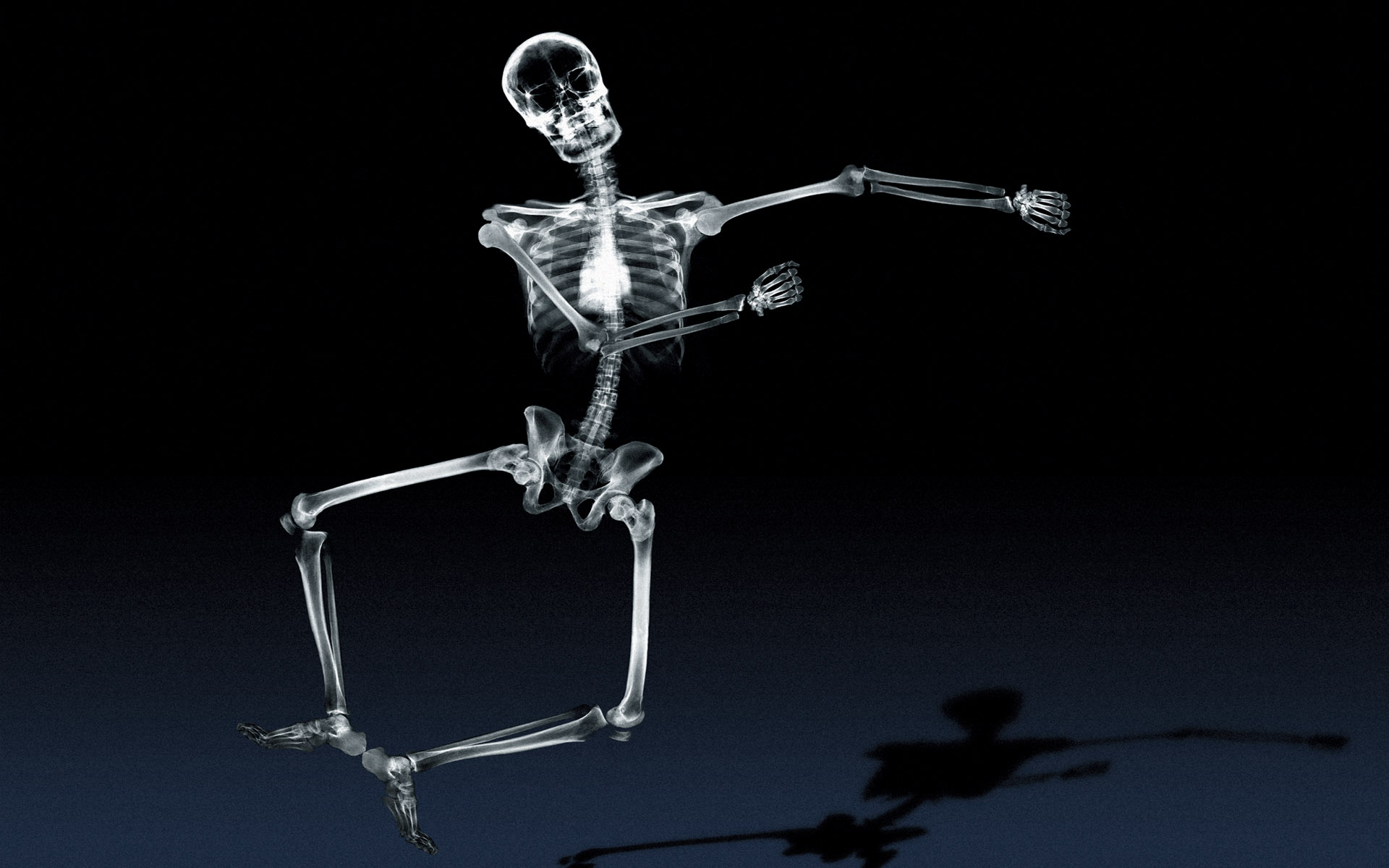 Téléchargez gratuitement l'image Sombre, Squelette sur le bureau de votre PC