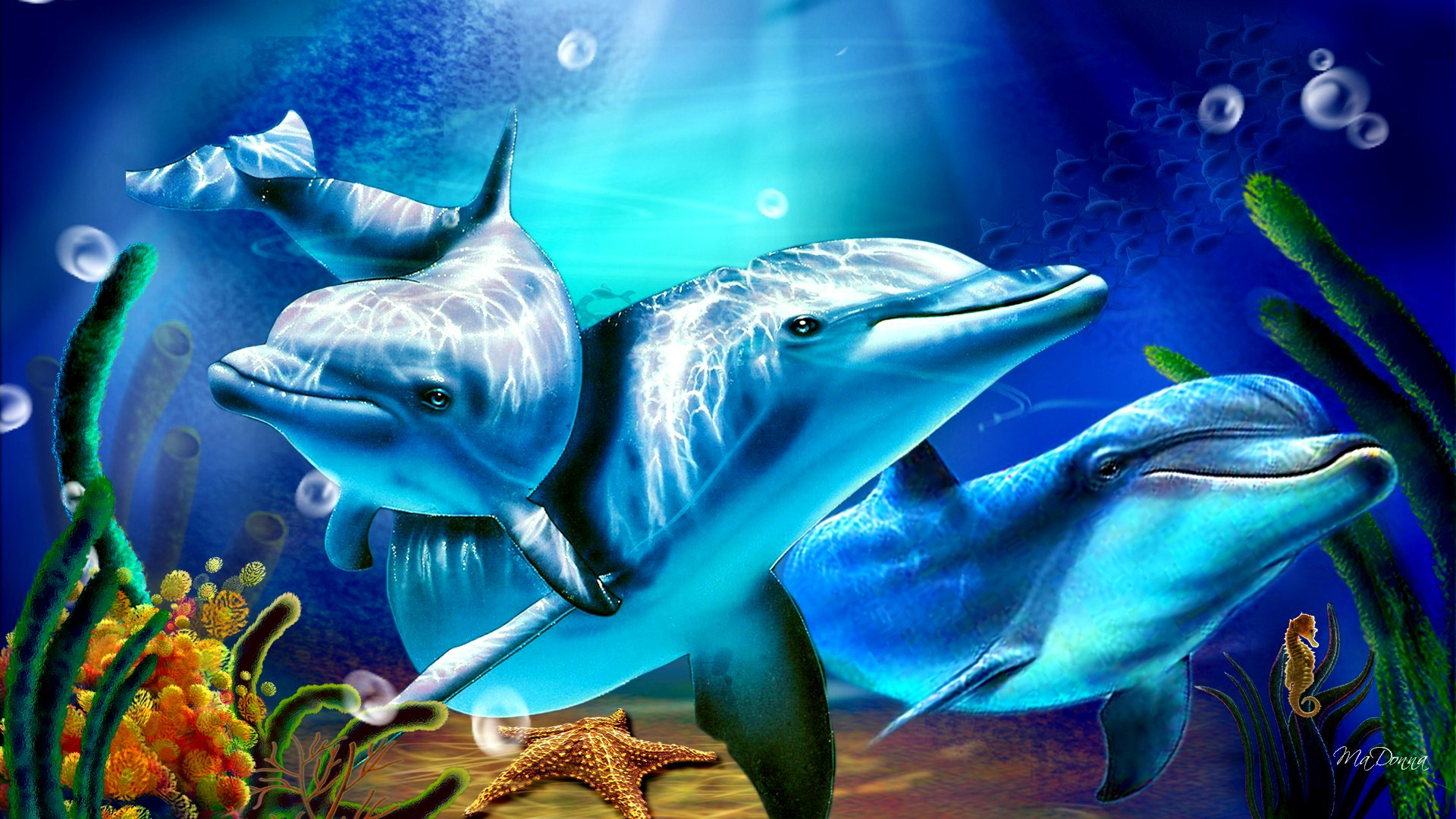 736918 скачать обои дельфин, пузыри, животные, морской конек, морская звезда - заставки и картинки бесплатно