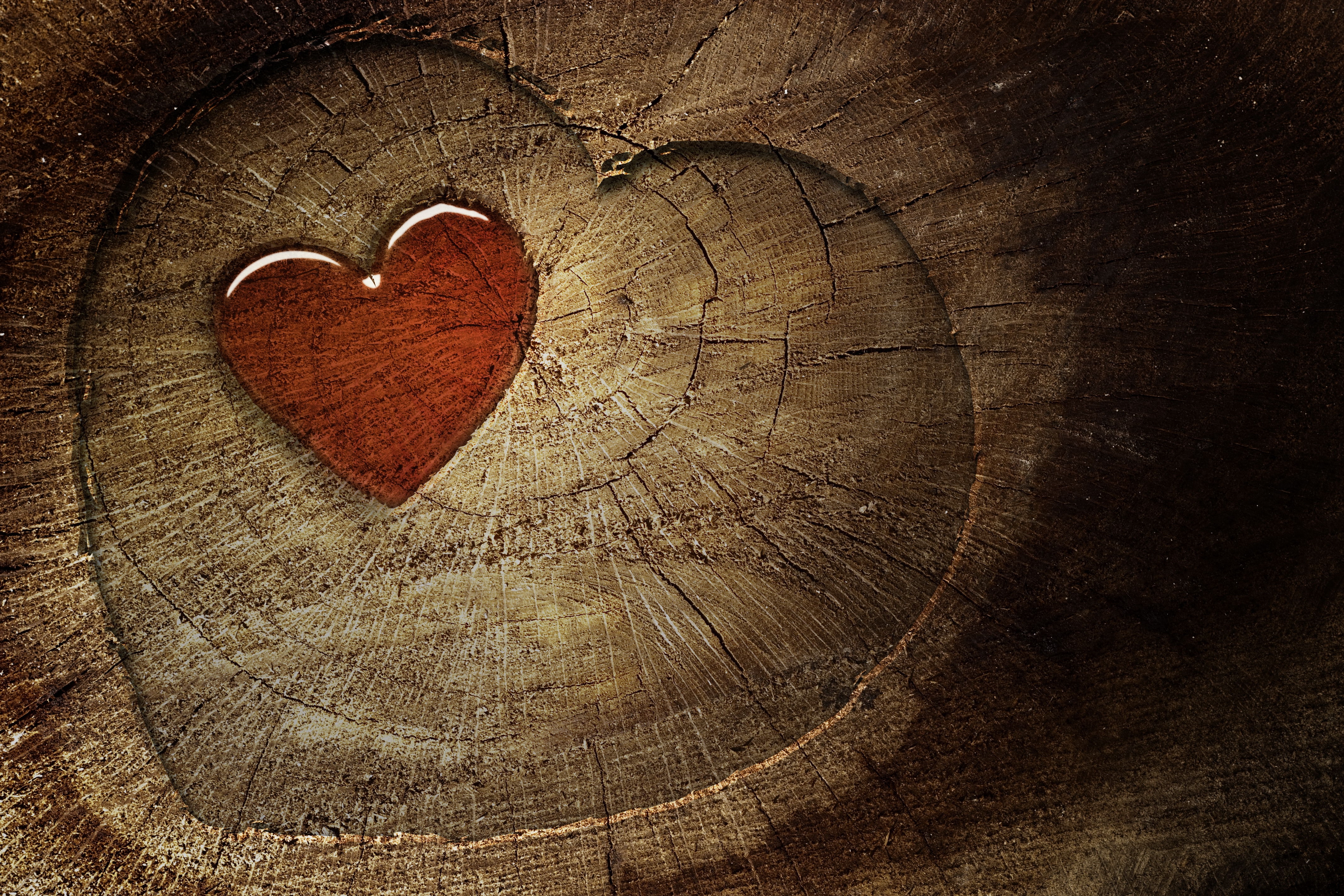 Download mobile wallpaper Stump, Wood, Tree, Heart, Love for free.