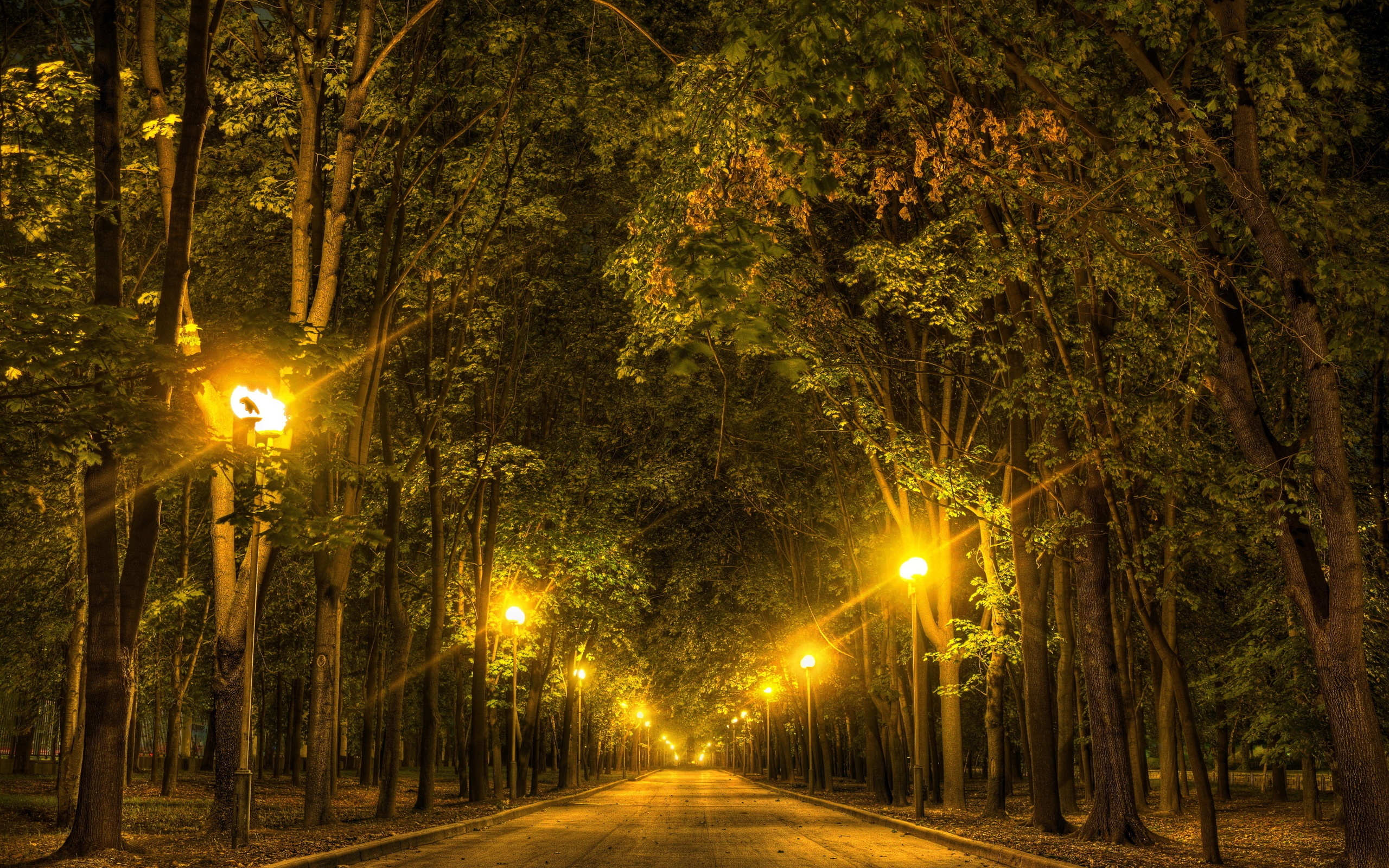 Download mobile wallpaper Night, Road, Tree, Alley, Lamp Post, Man Made for free.