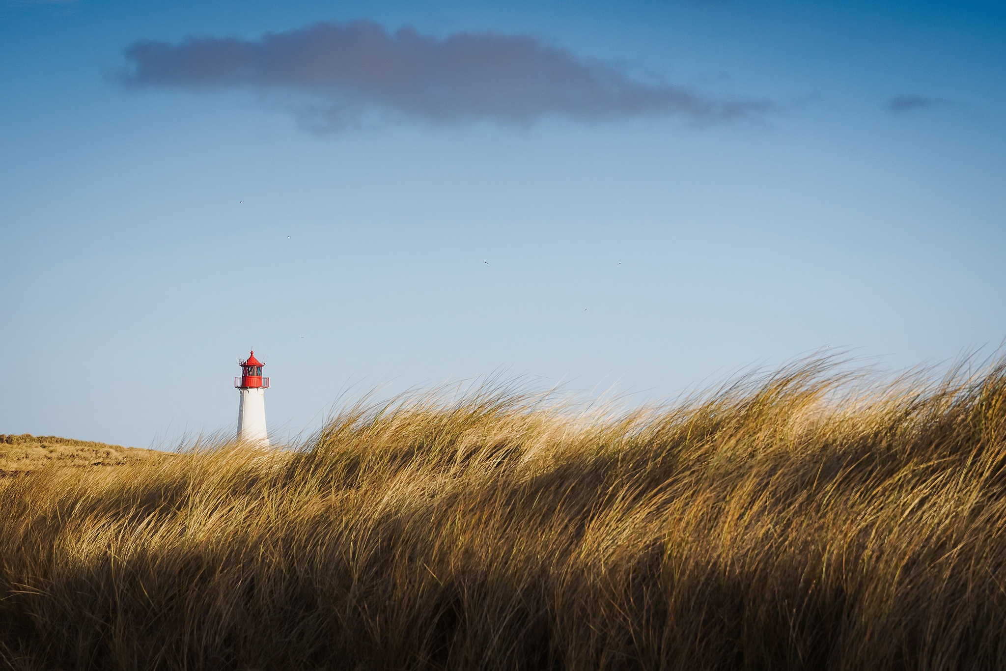 Free download wallpaper Grass, Sky, Building, Lighthouse, Man Made on your PC desktop