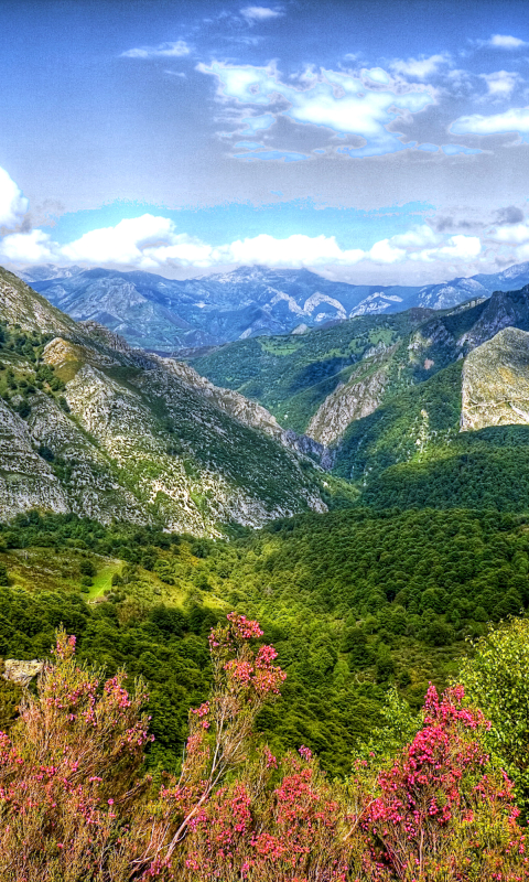 Baixar papel de parede para celular de Paisagem, Montanha, Floresta, Árvore, Terra, Nuvem, Terra/natureza gratuito.