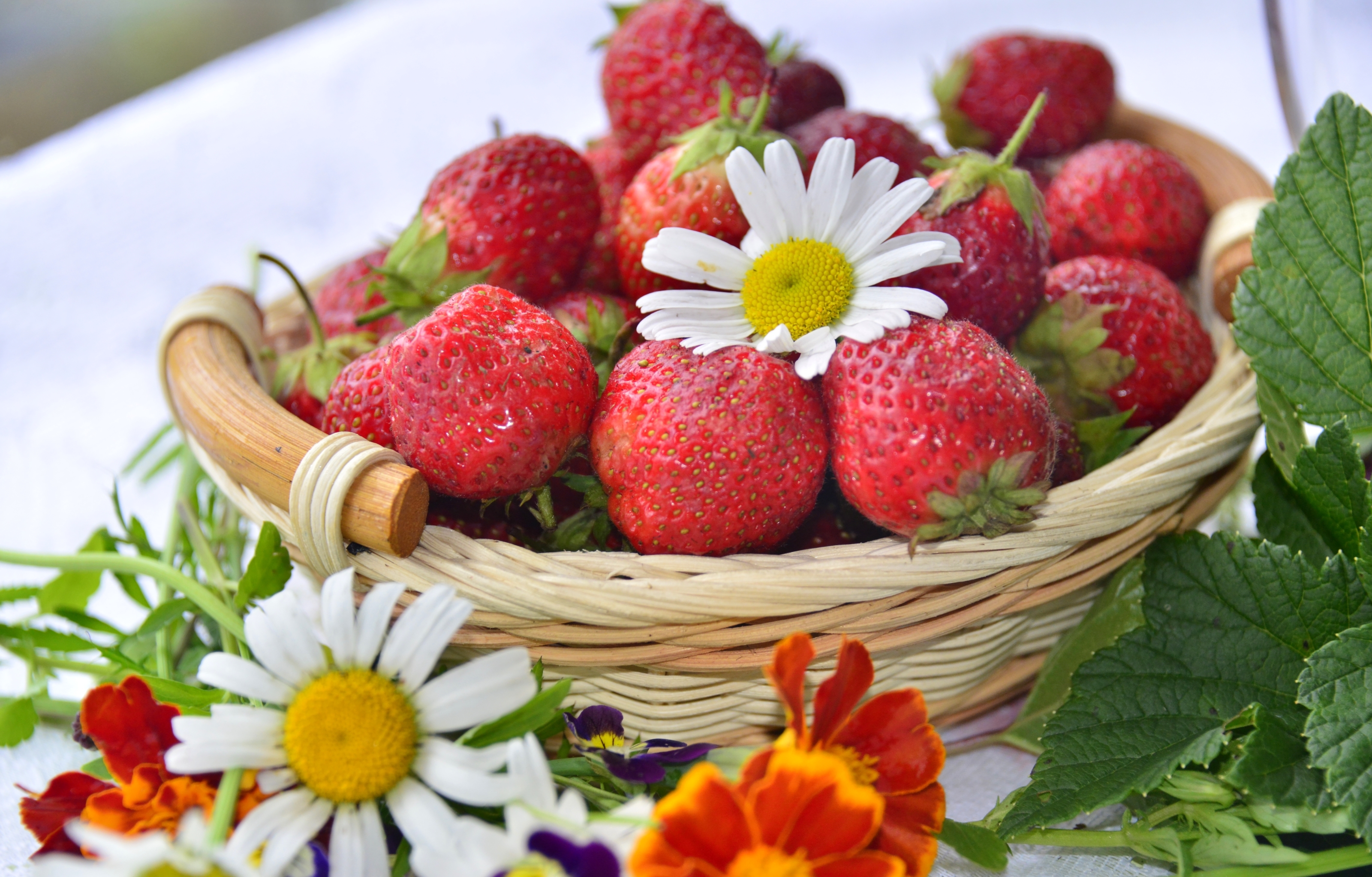 Download mobile wallpaper Fruits, Food, Strawberry, Flower, Berry, Fruit, Basket, White Flower for free.