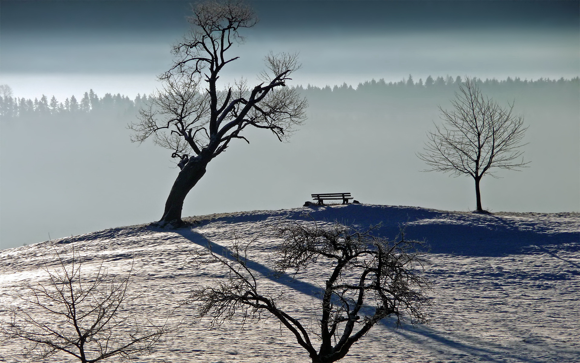 Cool Backgrounds  Winter