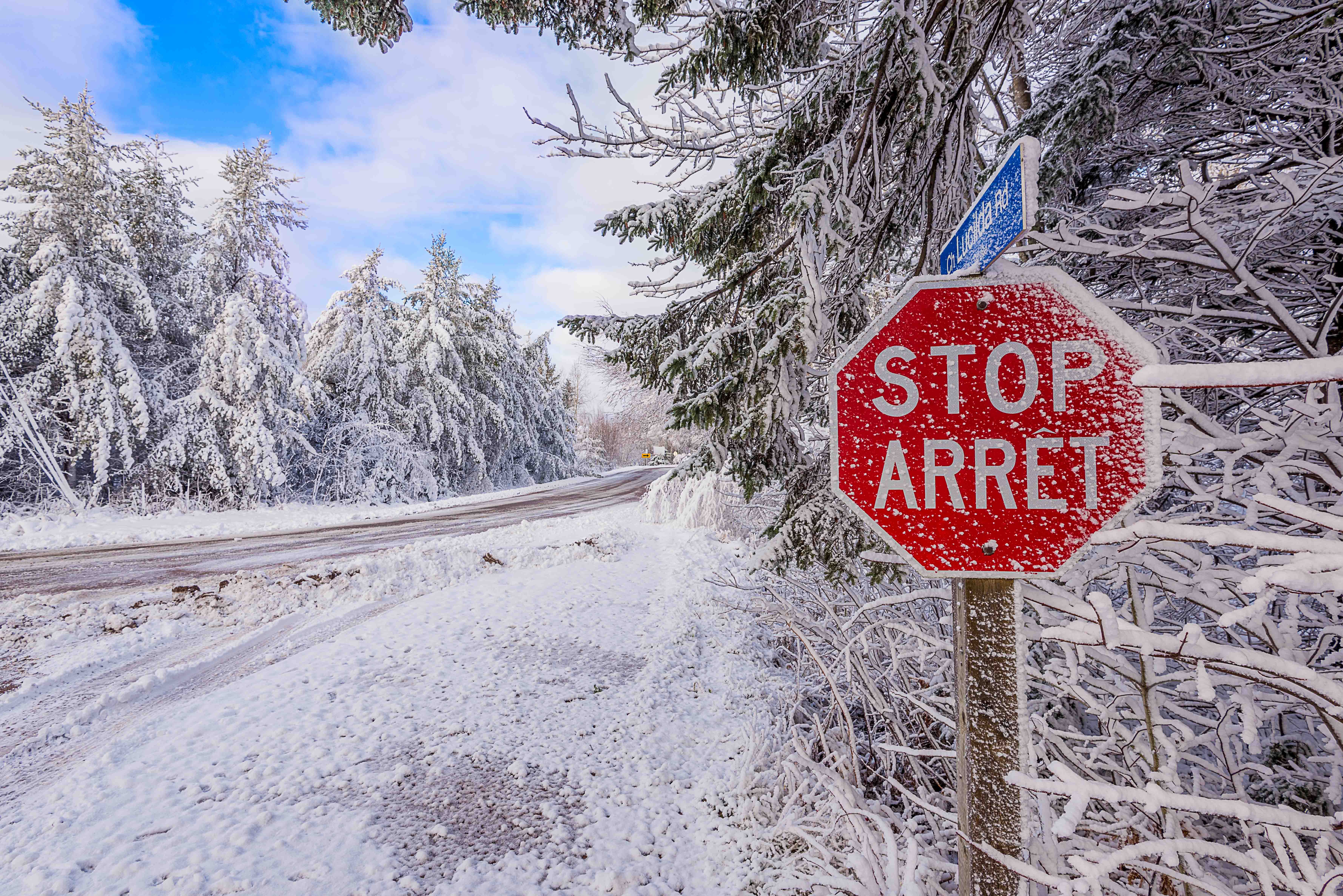 Download mobile wallpaper Winter, Ice, Snow, Road, Tree, Sign, Frozen, Photography for free.