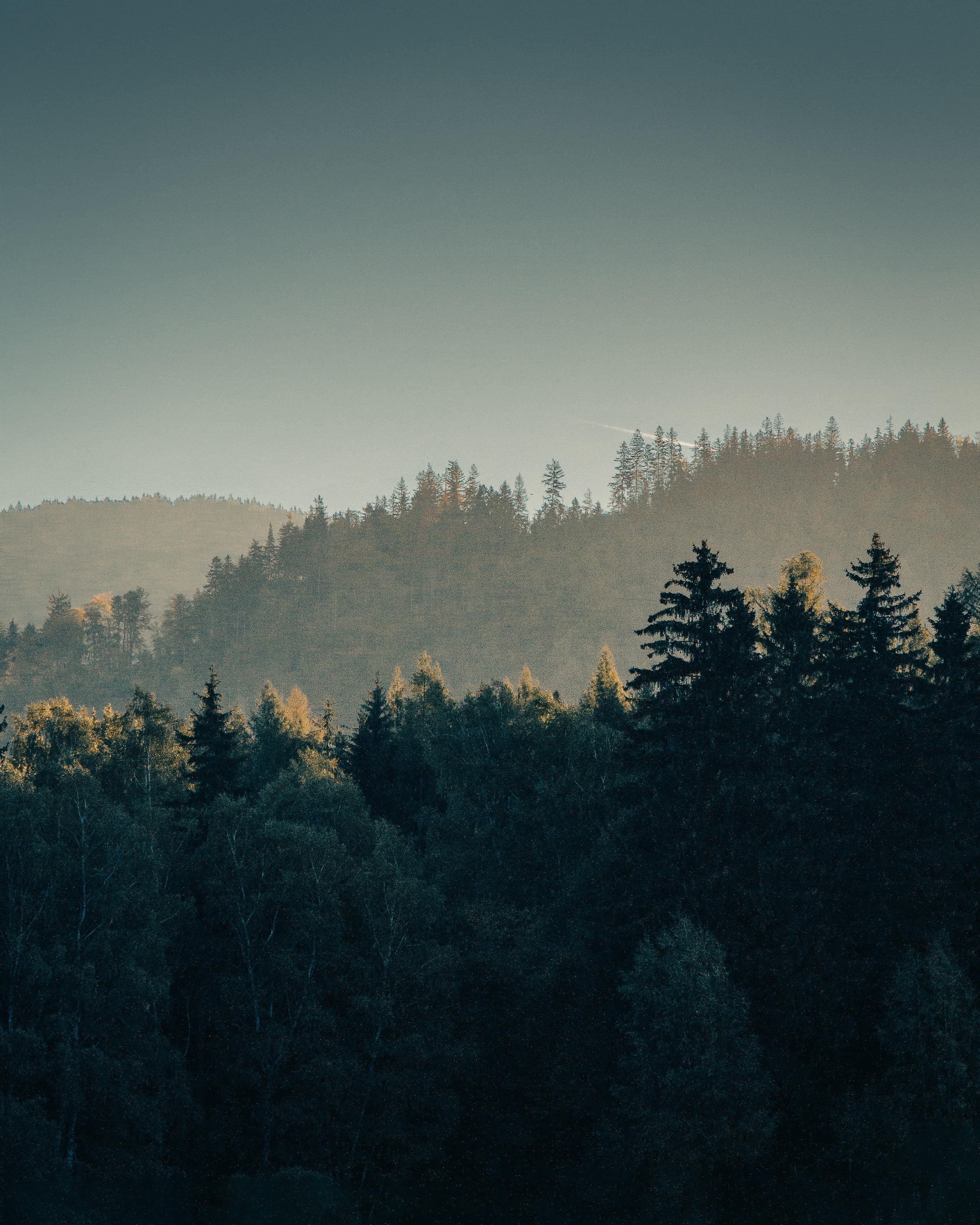 Free download wallpaper Nature, Forest, Hills, Trees, Fog, Landscape on your PC desktop
