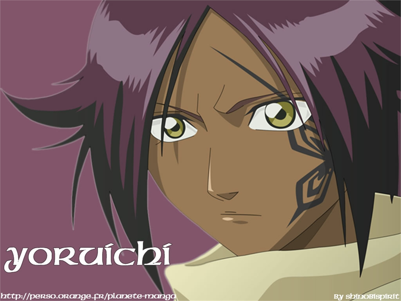 Téléchargez gratuitement l'image Bleach, Animé, Yoruichi Shihoin sur le bureau de votre PC