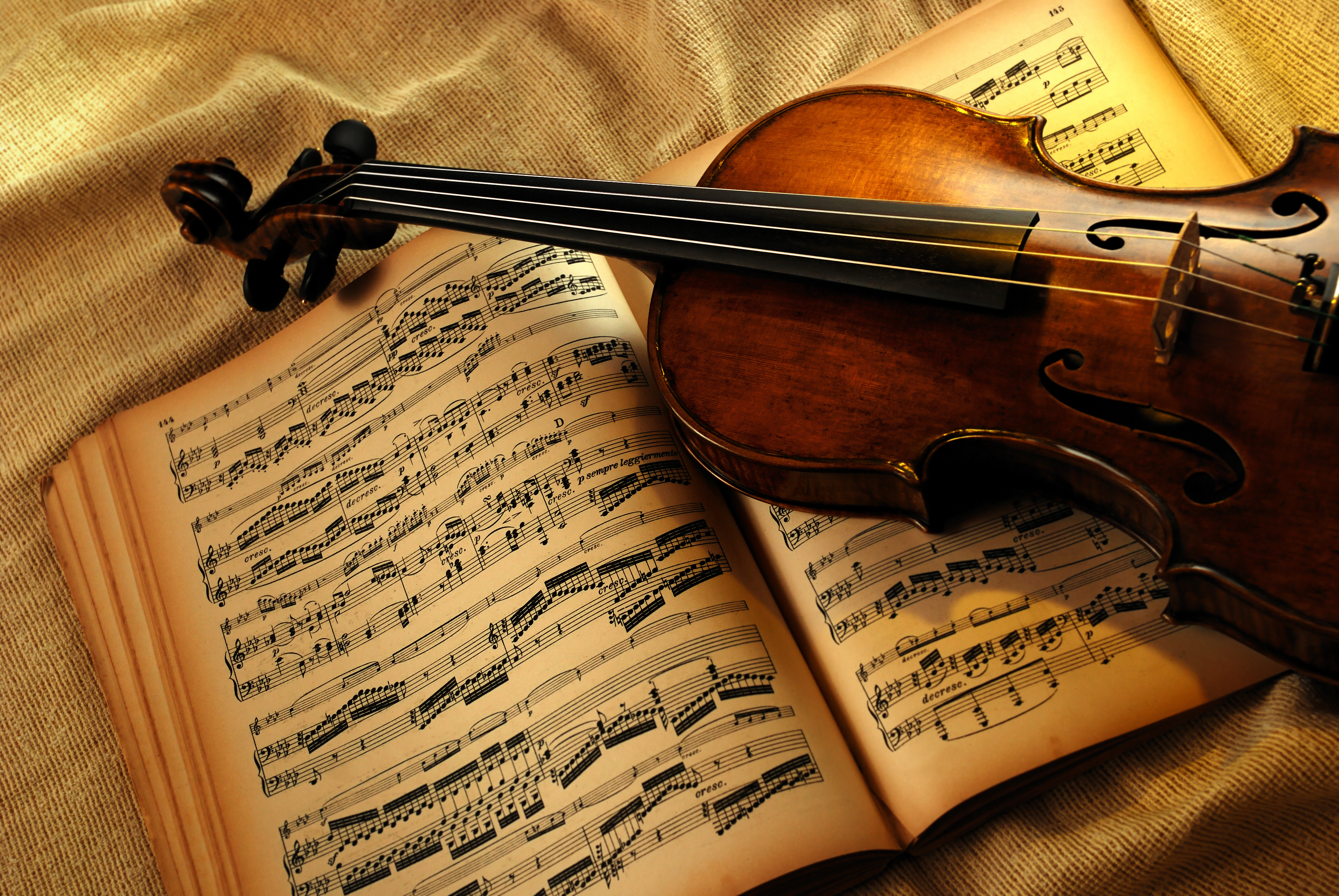 Laden Sie das Musik, Violine, Stillleben, Instrument-Bild kostenlos auf Ihren PC-Desktop herunter