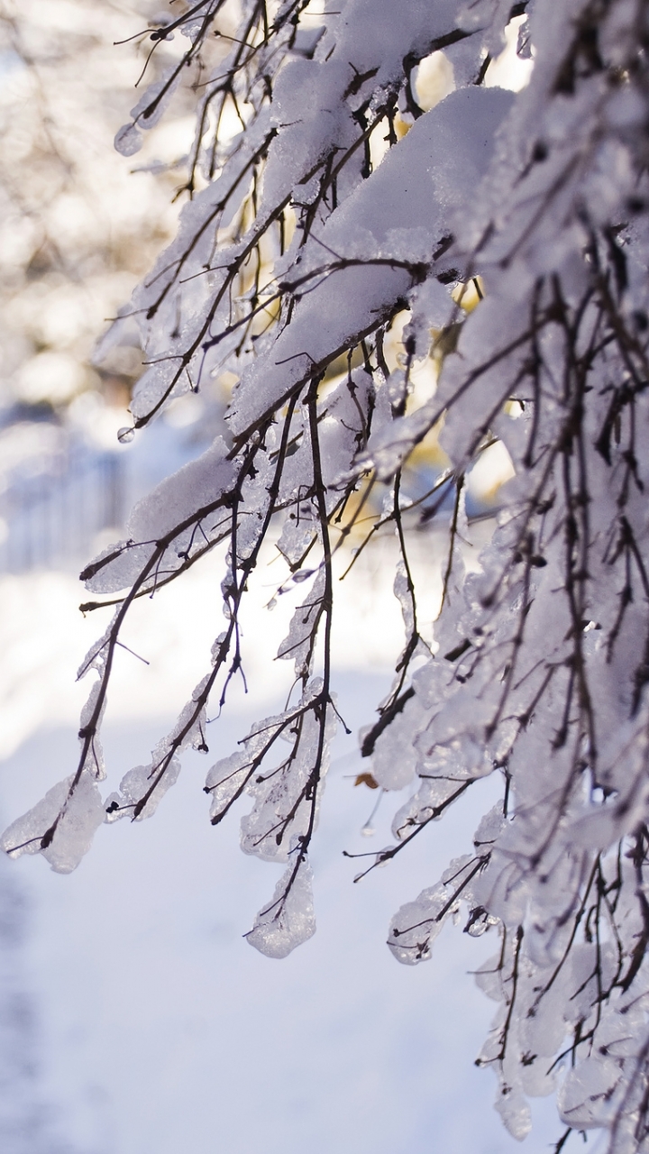 Handy-Wallpaper Winter, Erde/natur kostenlos herunterladen.