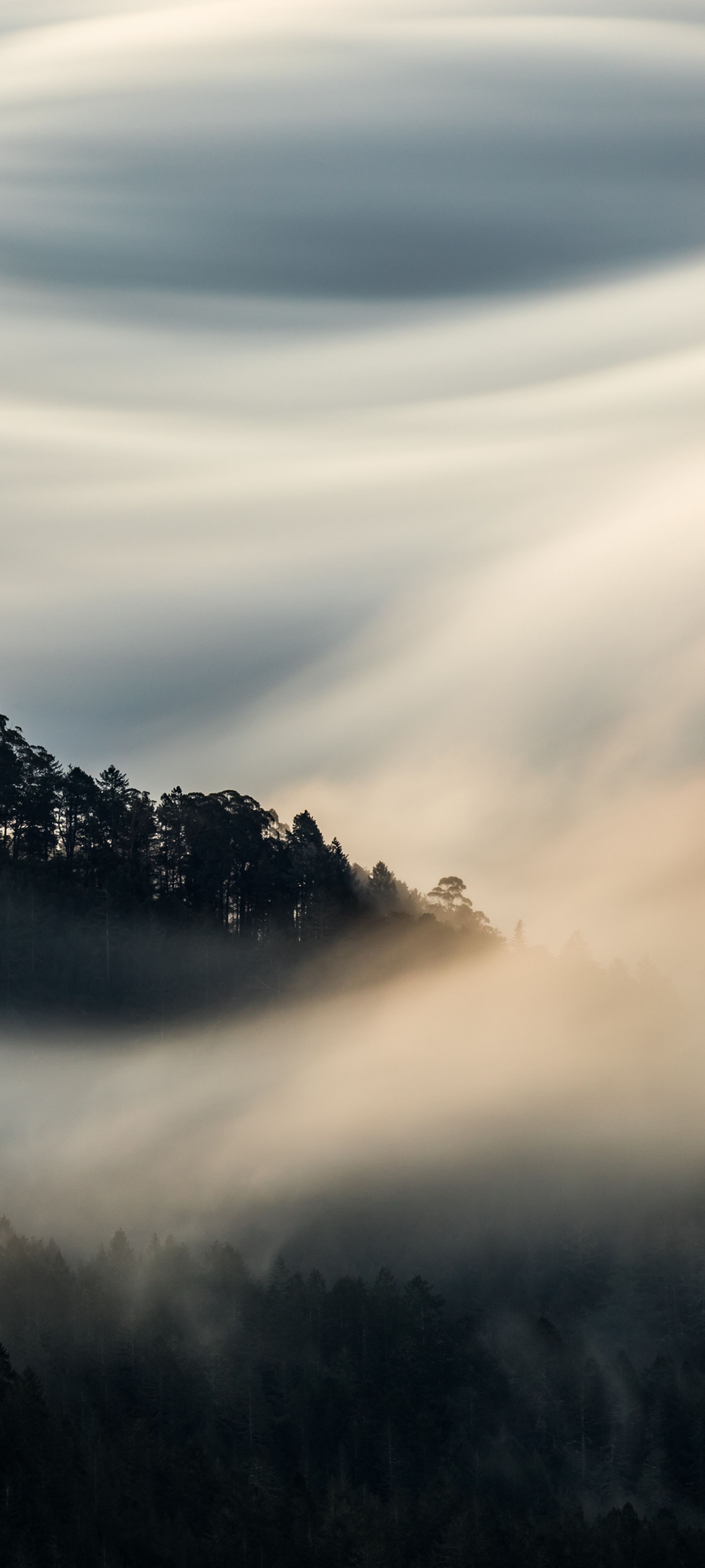 Baixar papel de parede para celular de Terra/natureza, Neblina gratuito.