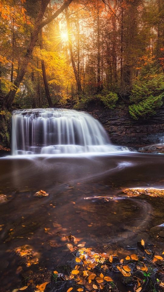 Descarga gratuita de fondo de pantalla para móvil de Naturaleza, Otoño, Cascadas, Cascada, Bosque, Espuma, Corriente, Chorro, Tierra/naturaleza.