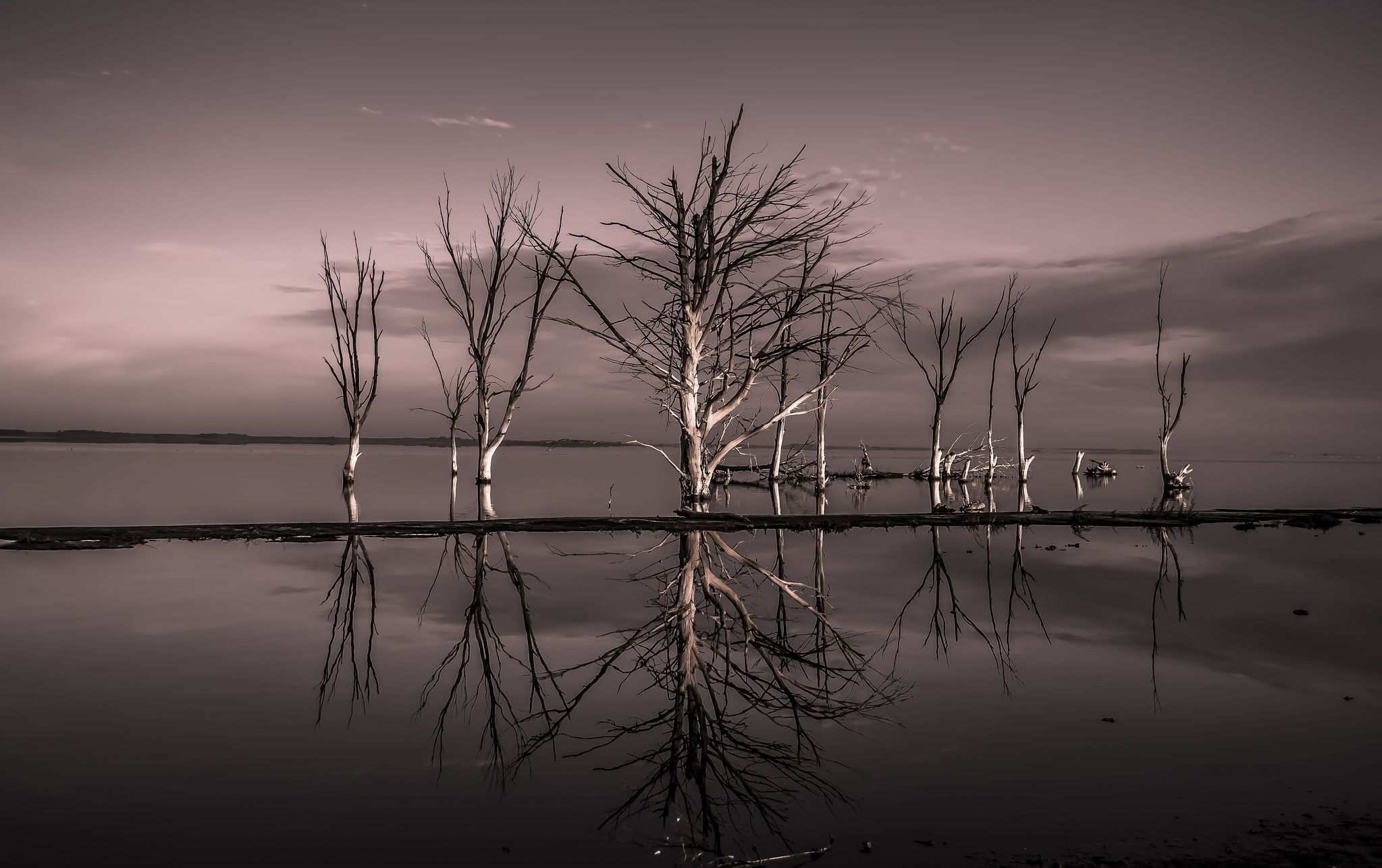 Baixar papel de parede para celular de Natureza, Horizonte, Lago, Árvore, Terra/natureza, Reflecção gratuito.