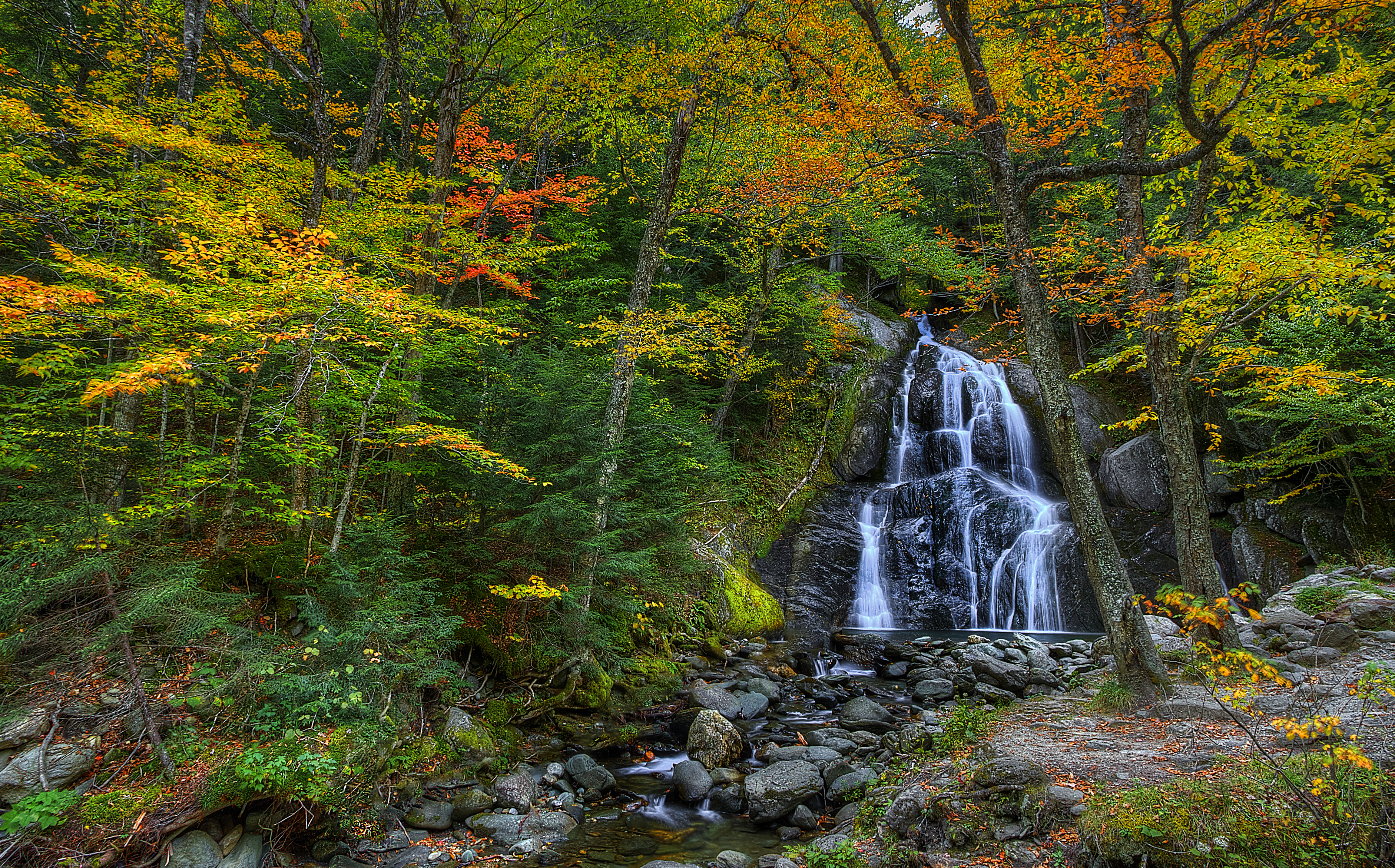Скачать картинку Природа, Осень, Водопады, Водопад, Лес, Дерево, Земля/природа в телефон бесплатно.