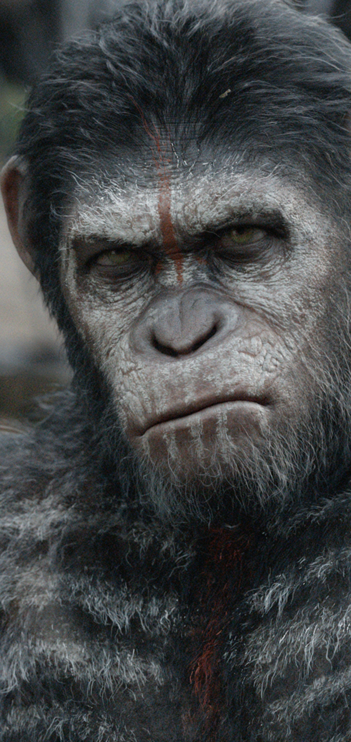 movie, dawn of the planet of the apes
