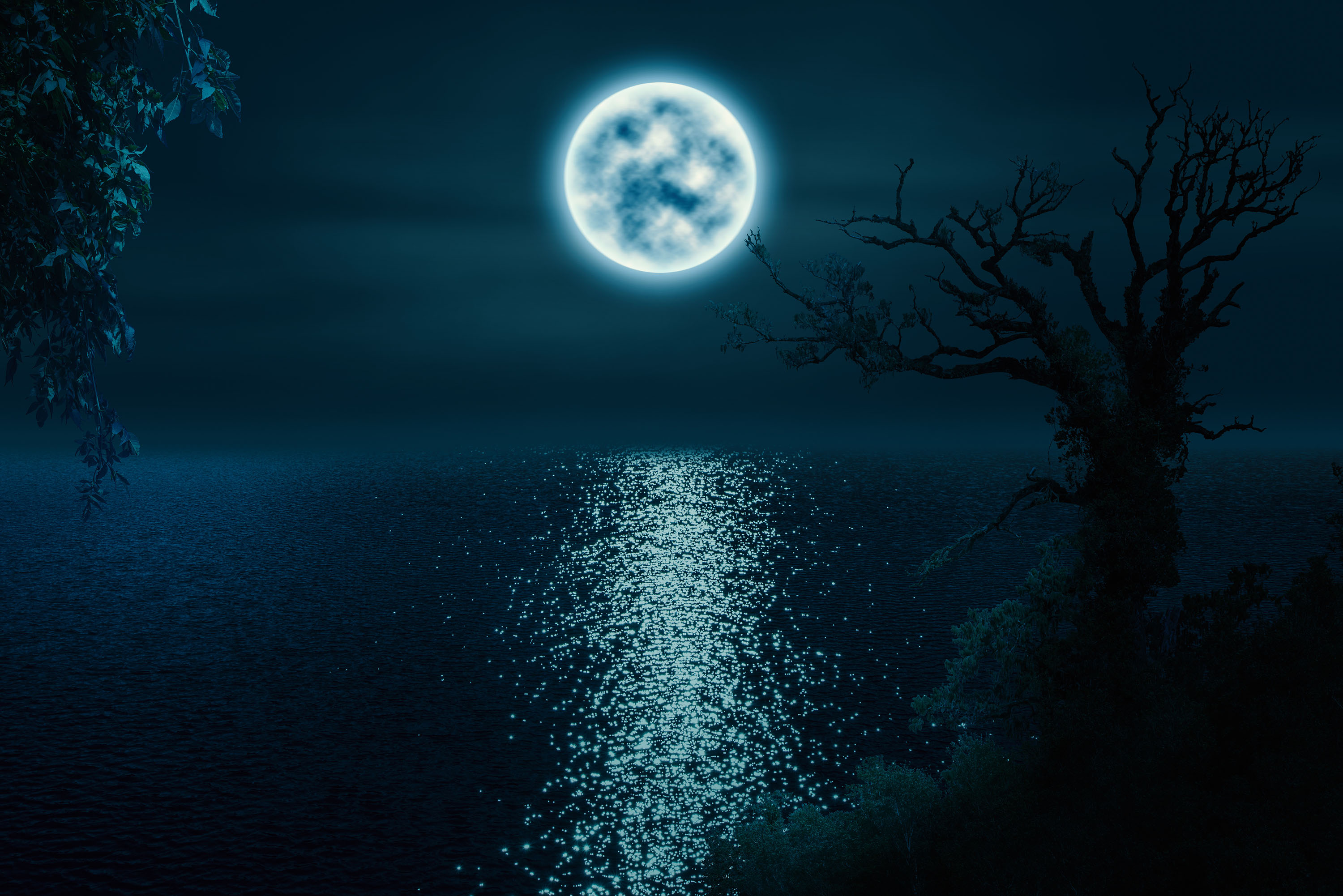 Download mobile wallpaper Water, Moon, Tree, Artistic for free.