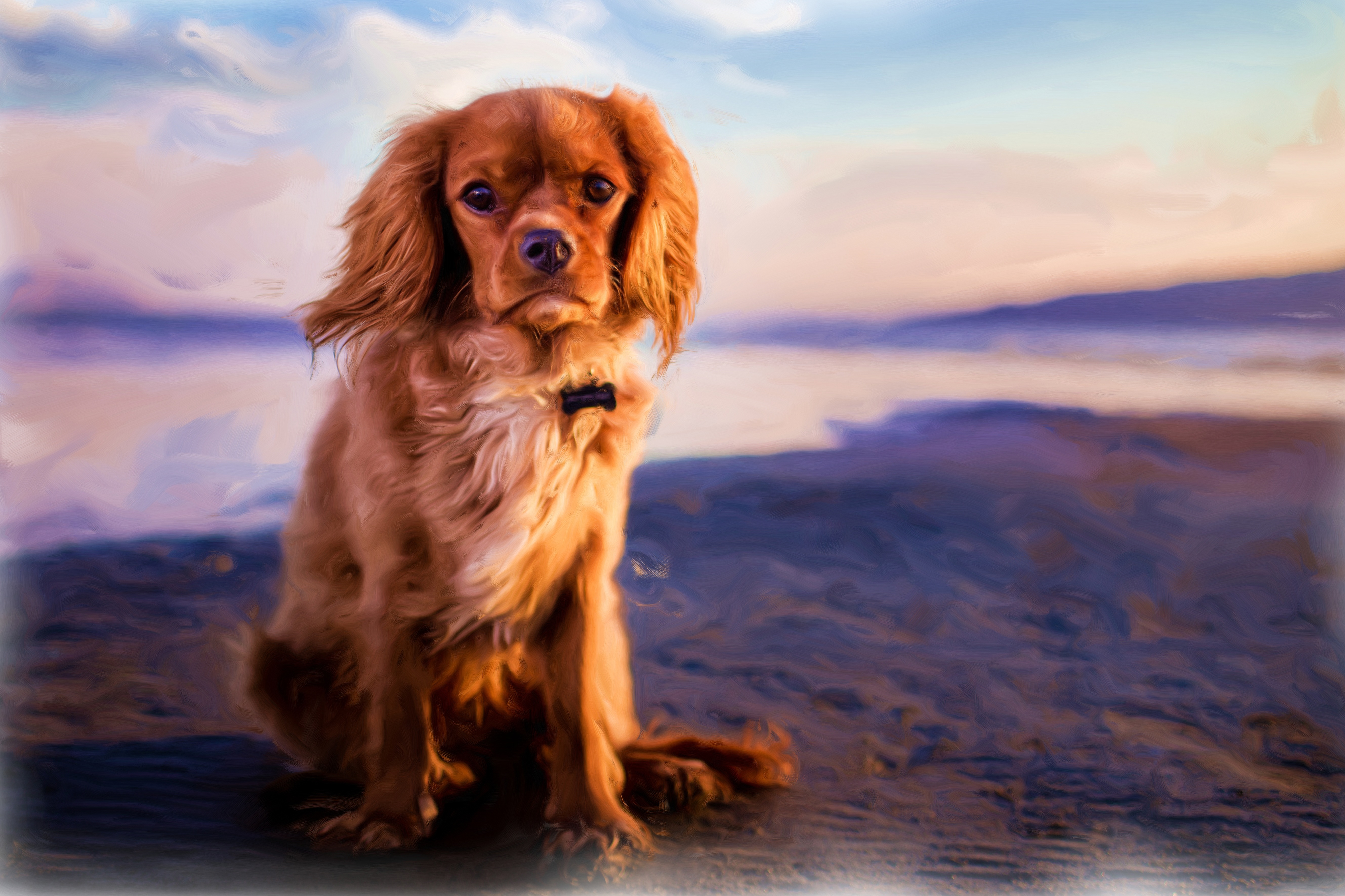 399643 descargar imagen animales, perro de aguas, perro, pintura al óleo, pintura, perros: fondos de pantalla y protectores de pantalla gratis