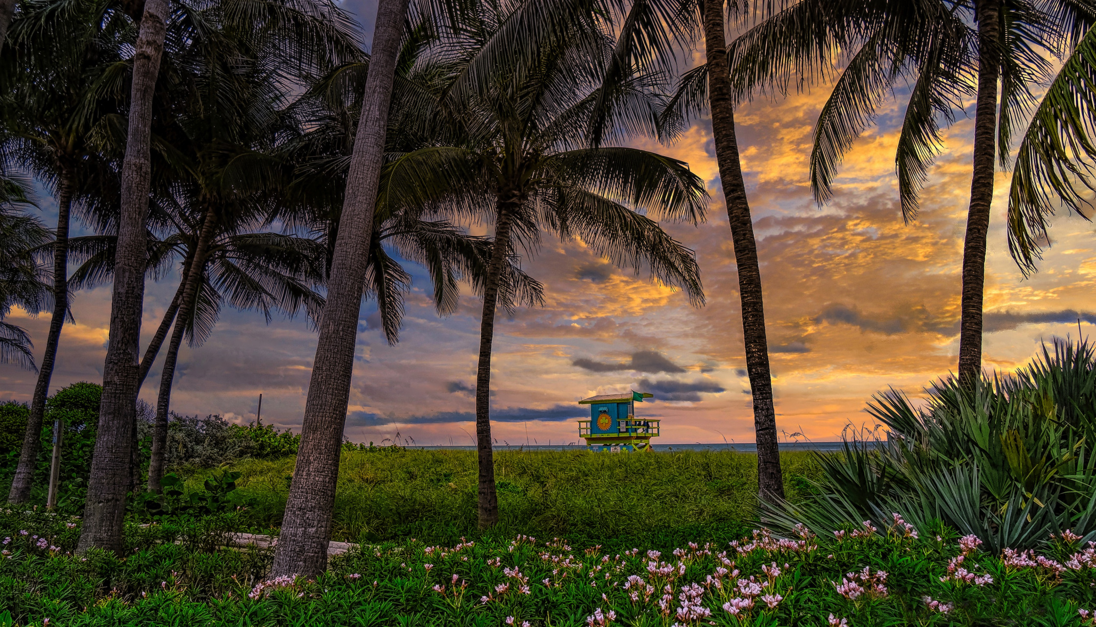 Free download wallpaper Sunset, Beach, Photography, Florida, Miami Beach, Palm Tree on your PC desktop