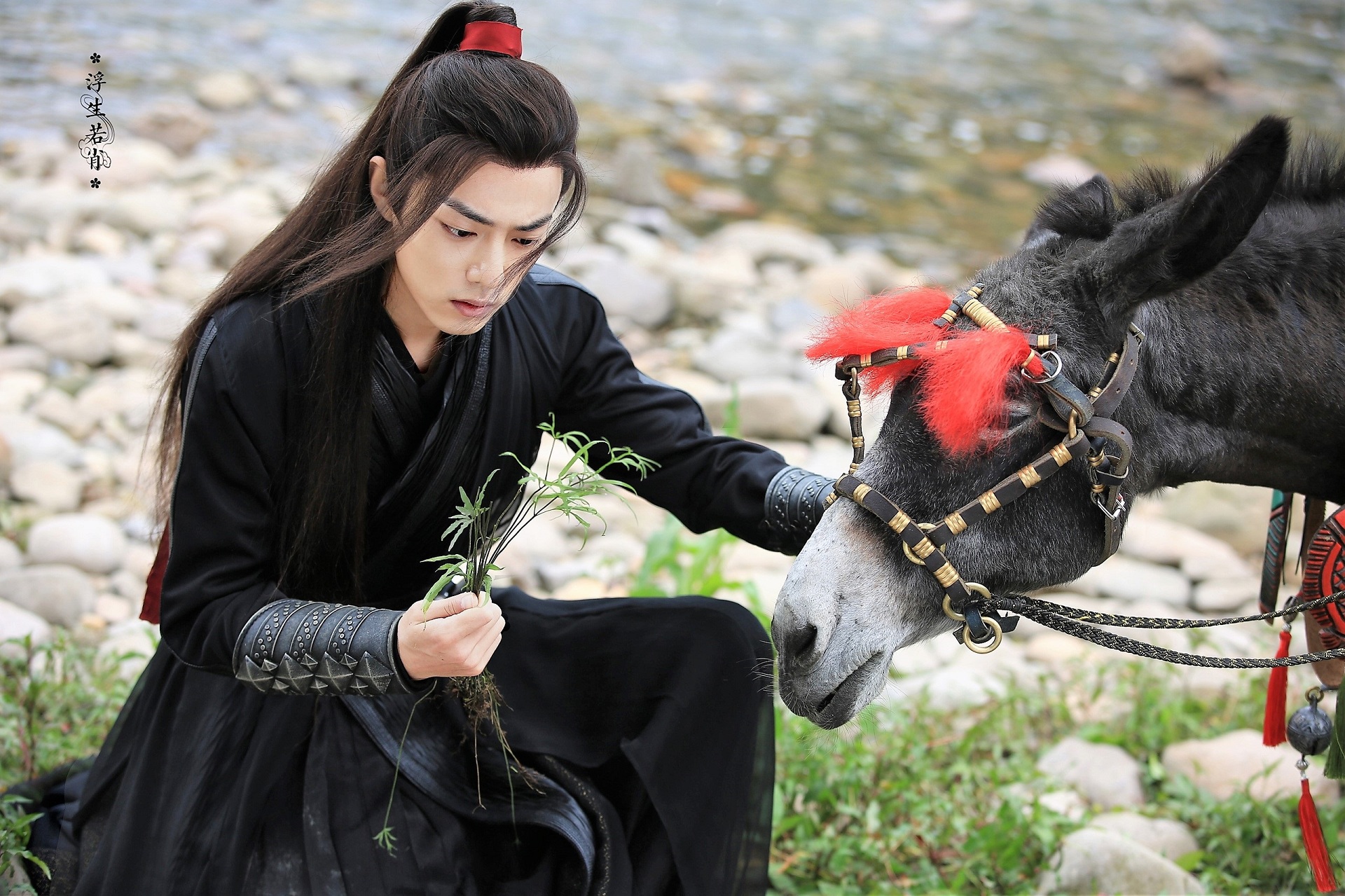 Free download wallpaper Tv Show, Wei Ying, Wei Wuxian, Xiao Zhan, The Untamed on your PC desktop