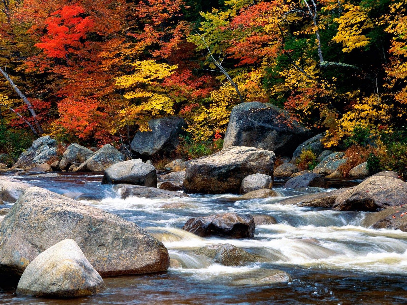autumn, water, leaves, nature, stones, flow, village, stream, gurgling, murmur, villages