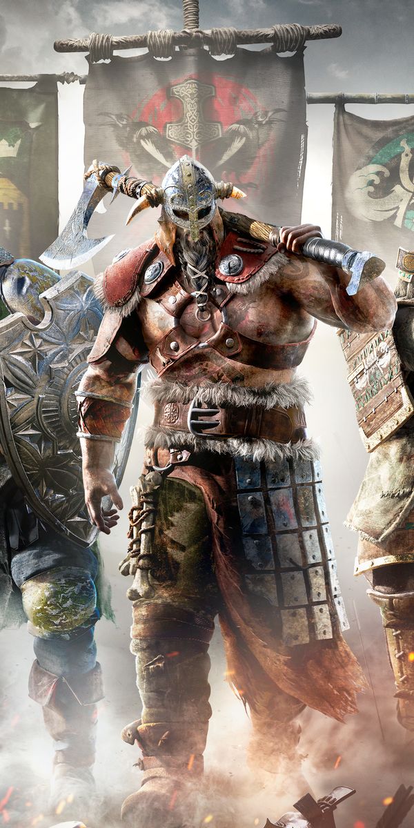 For Honor - Édition Collector (sans jeu) - PS4 - Accessoire Occasion Pas Cher