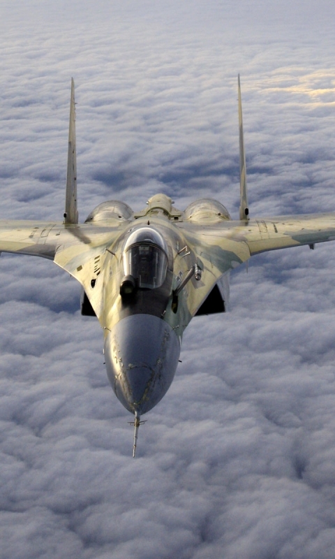 無料モバイル壁紙戦闘機, 航空機, ジェット戦闘機, 軍隊, 空軍, スホーイ Su 35をダウンロードします。