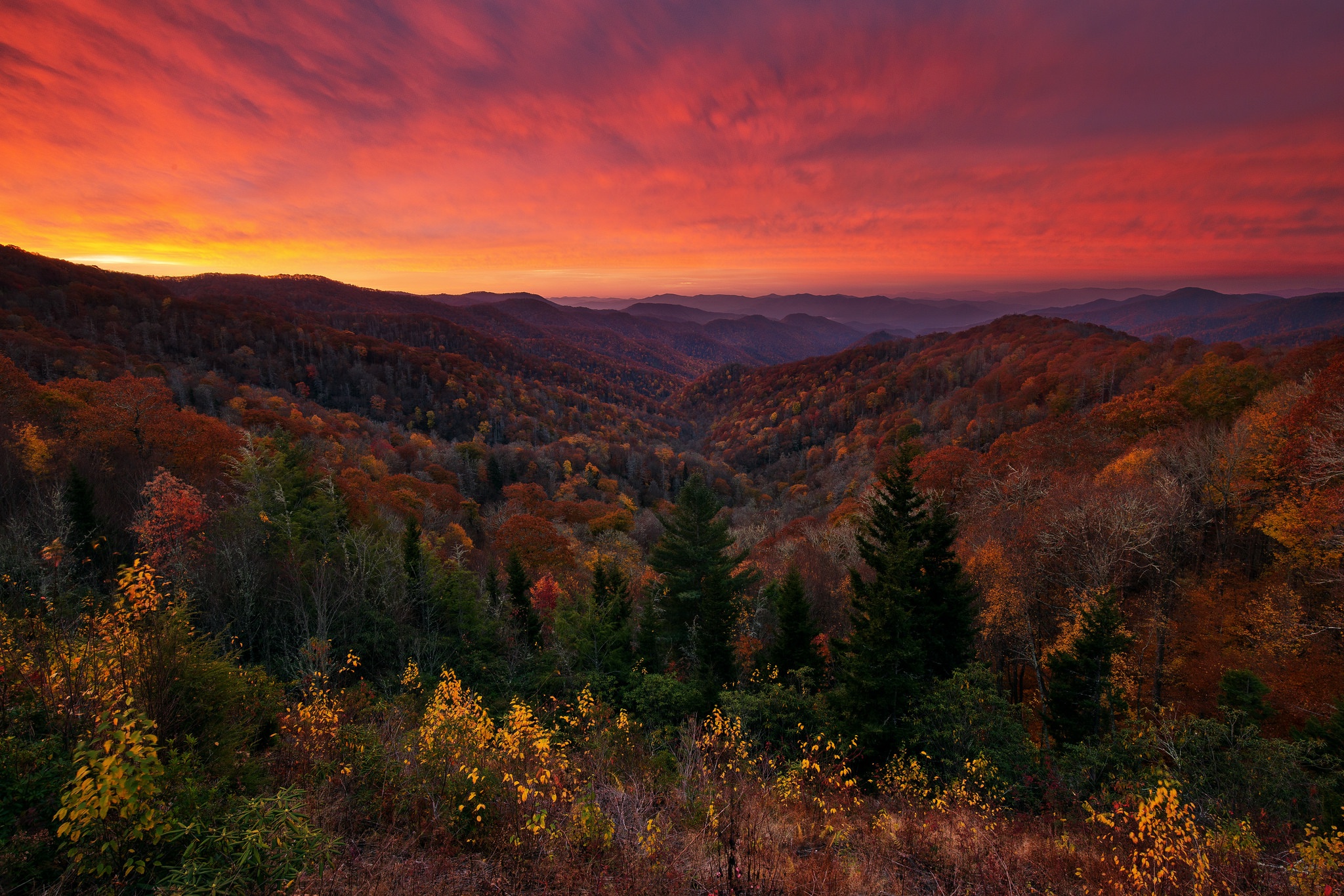 Handy-Wallpaper Landschaft, Wald, Sonnenuntergang, Erde/natur kostenlos herunterladen.