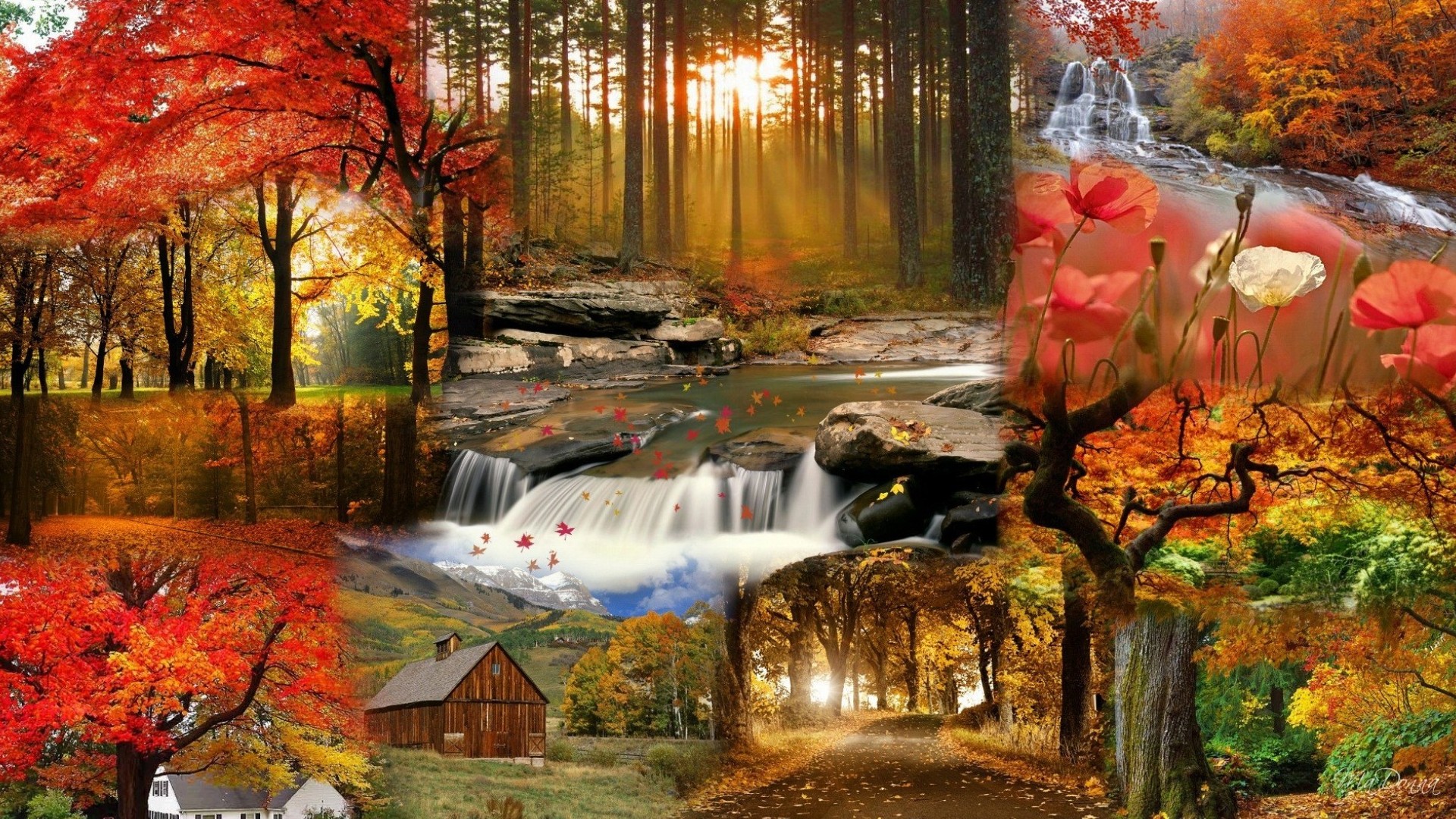 Laden Sie das Herbst, Fotografie, Kollage-Bild kostenlos auf Ihren PC-Desktop herunter