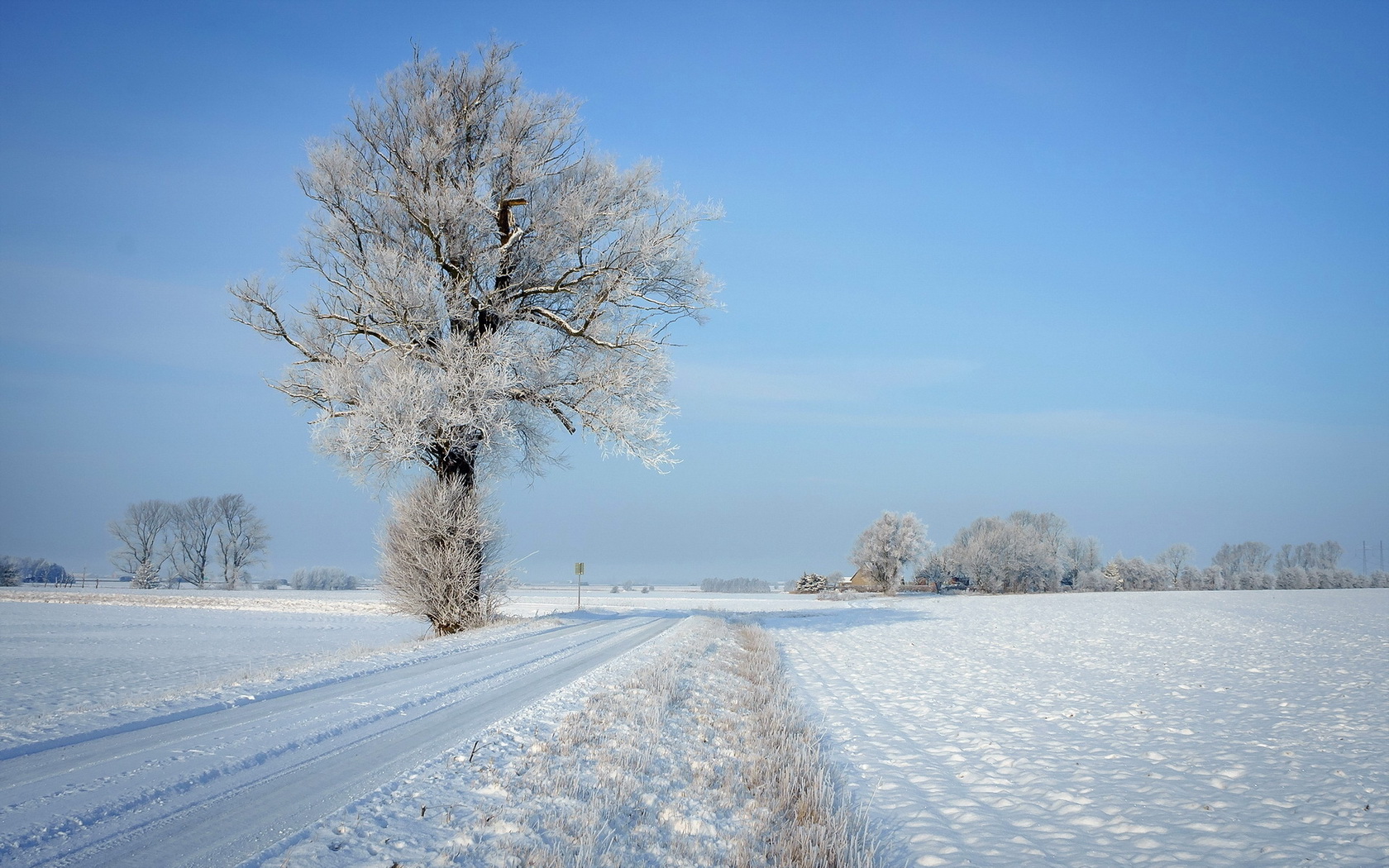 Laden Sie das Winter, Erde/natur-Bild kostenlos auf Ihren PC-Desktop herunter