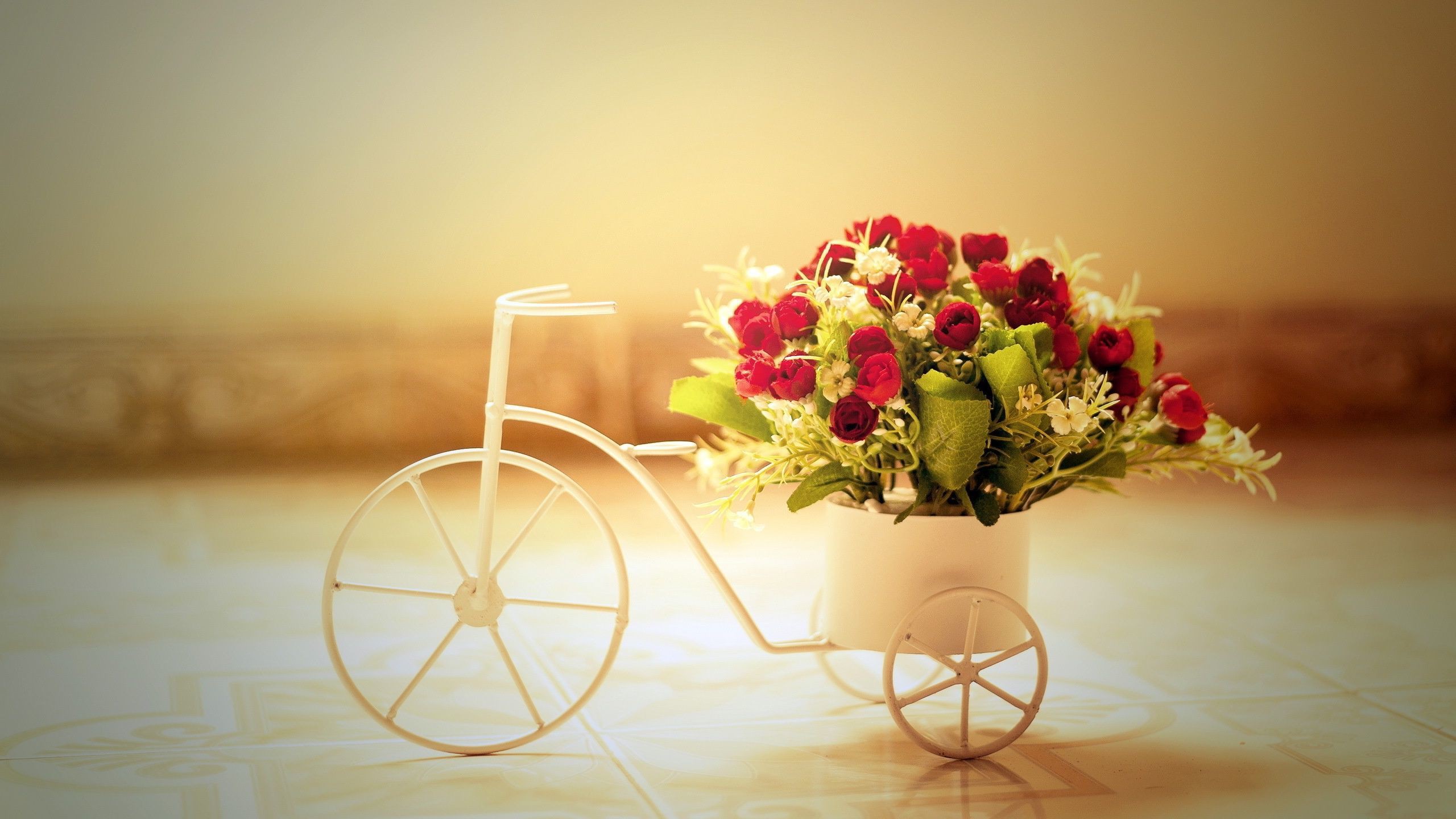 Download mobile wallpaper Still Life, Flower, Rose, Bicycle, Photography, Red Flower for free.