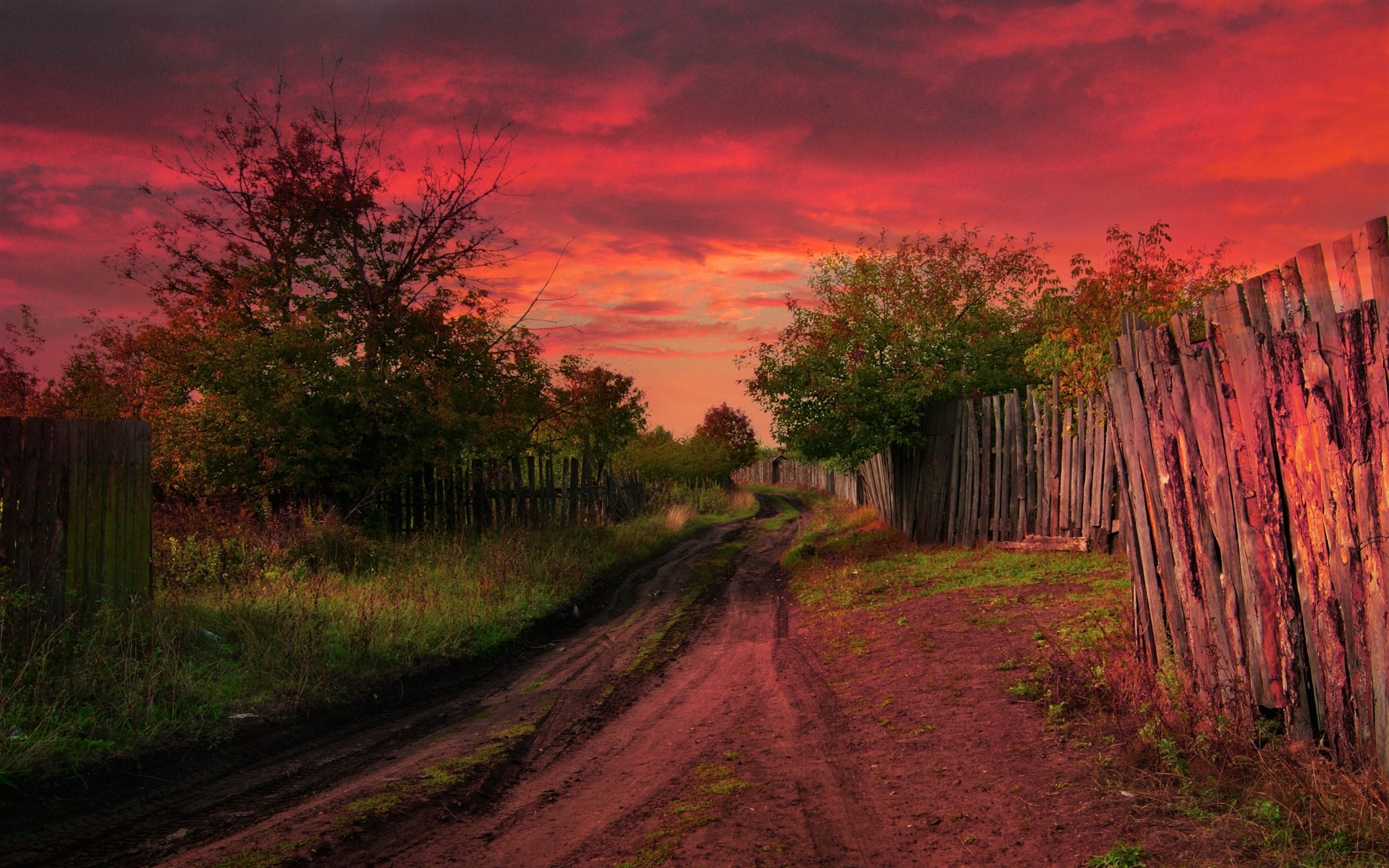 Descarga gratis la imagen Cielo, Árbol, Tierra, Fotografía, Atardecer, Camino De Tierra en el escritorio de tu PC