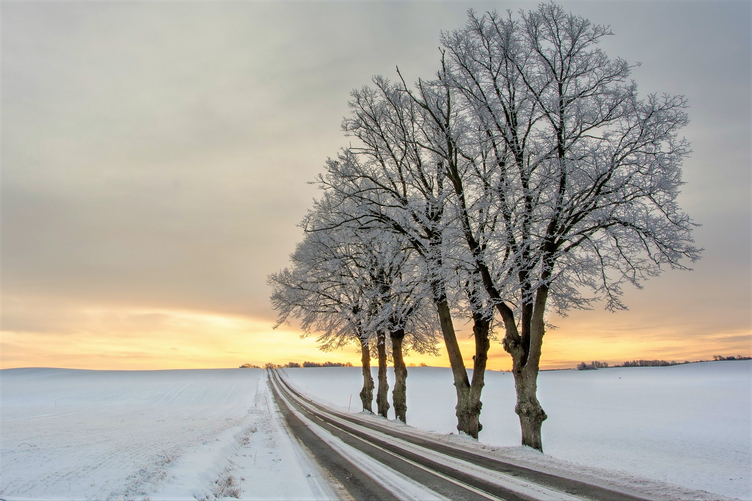 Téléchargez des papiers peints mobile Hiver, Coucher De Soleil, Route, Arbre, Photographie, Neiger gratuitement.