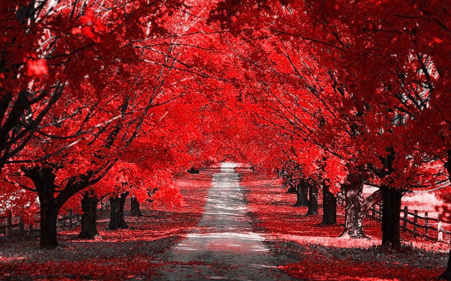 Laden Sie das Herbst, Erde/natur-Bild kostenlos auf Ihren PC-Desktop herunter