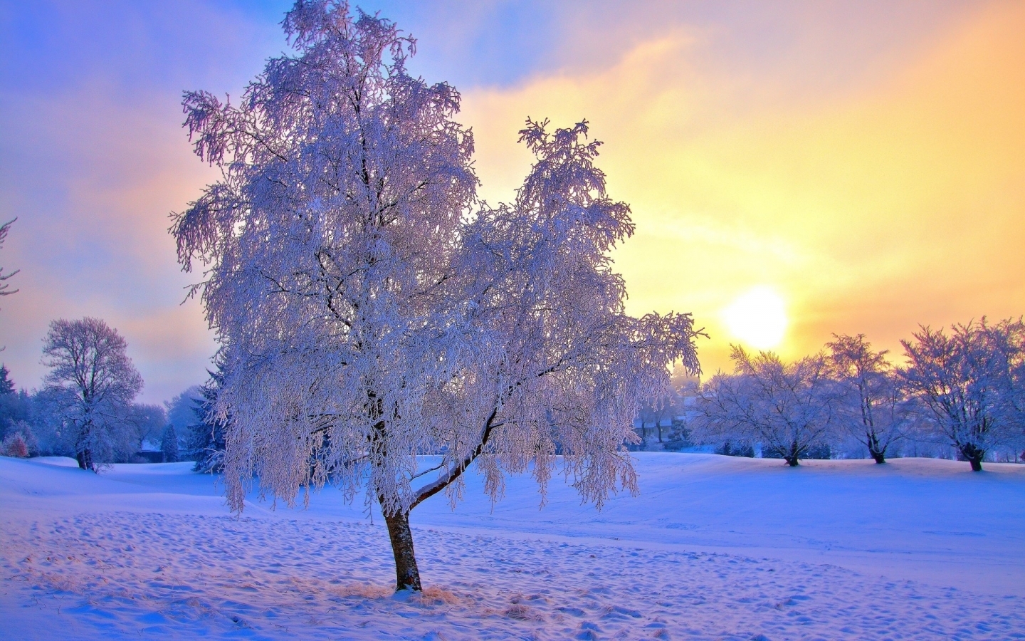 Download mobile wallpaper Winter, Trees, Snow, Sunset, Landscape for free.