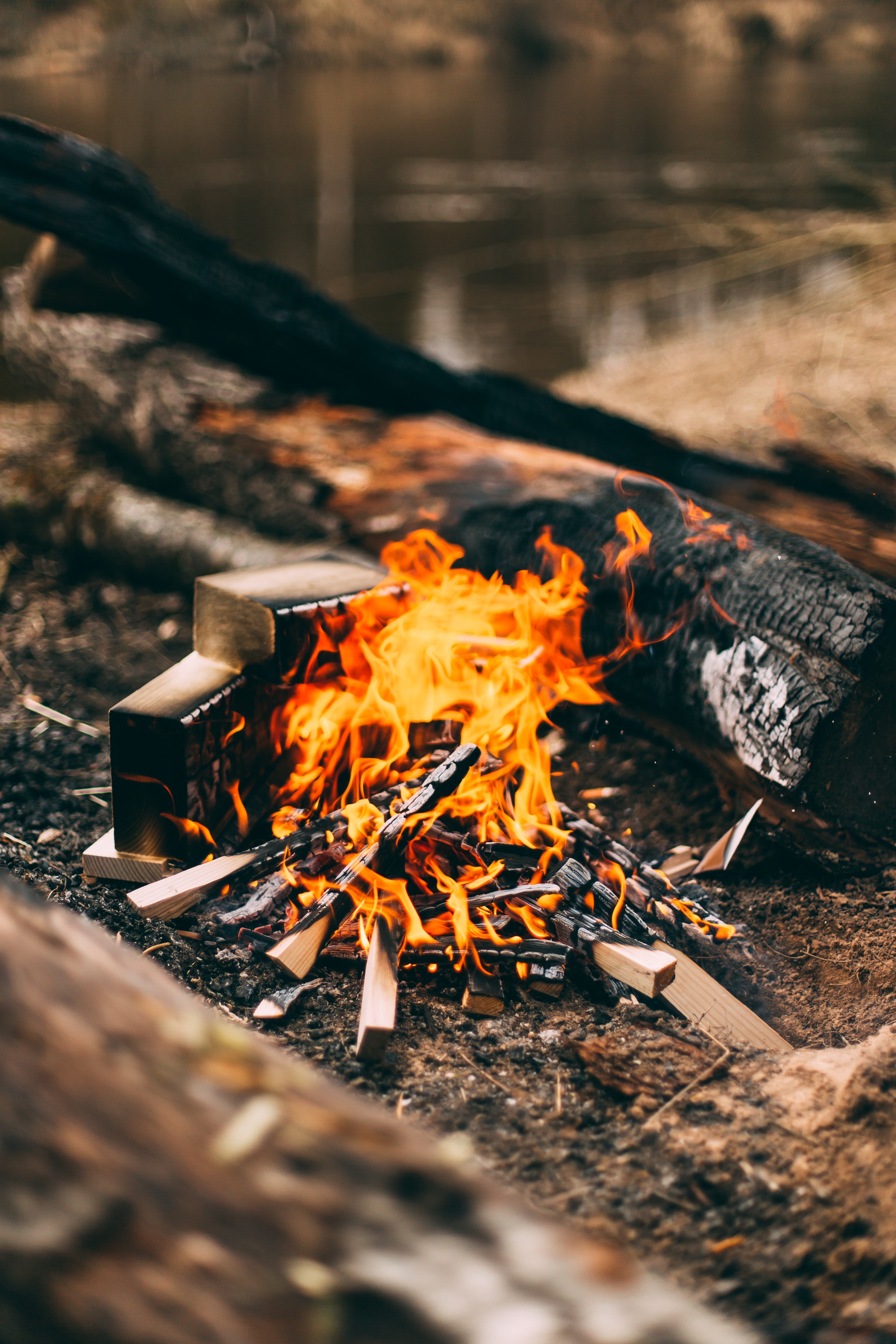 firewood, fire, bonfire, miscellanea, miscellaneous, camping, campsite