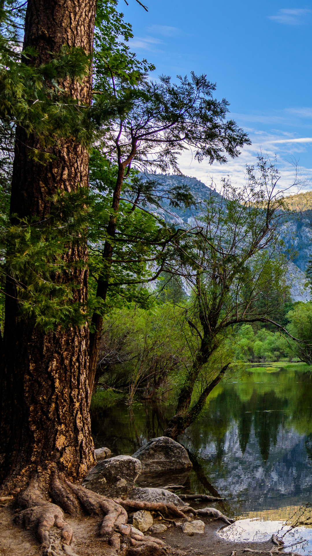 Téléchargez des papiers peints mobile Montagne, Lac, Réflexion, Arbre, Falaise, Californie, Parc National, Parc National De Yosemite, Terre/nature, Réflection gratuitement.